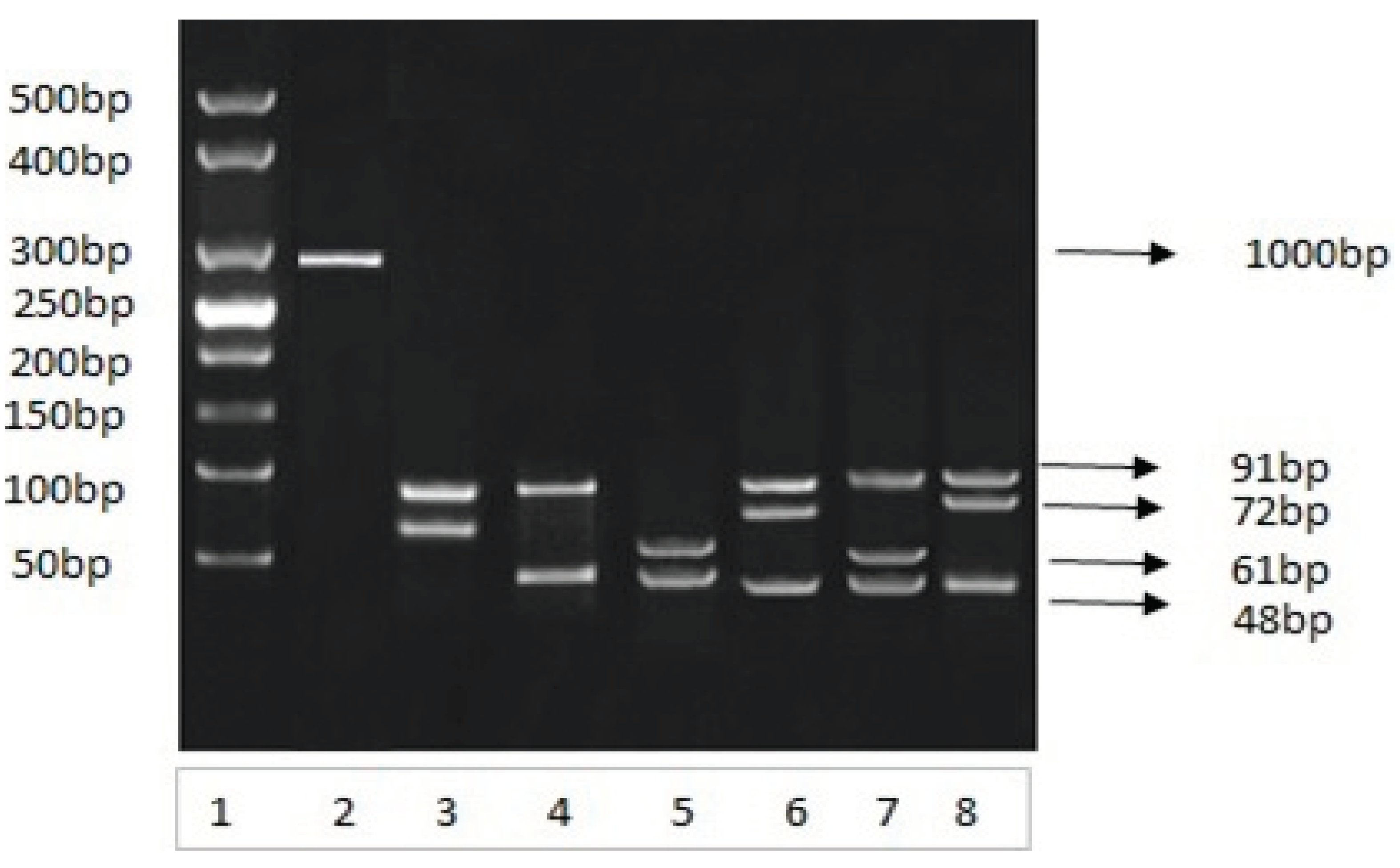 Preprints 102578 g006