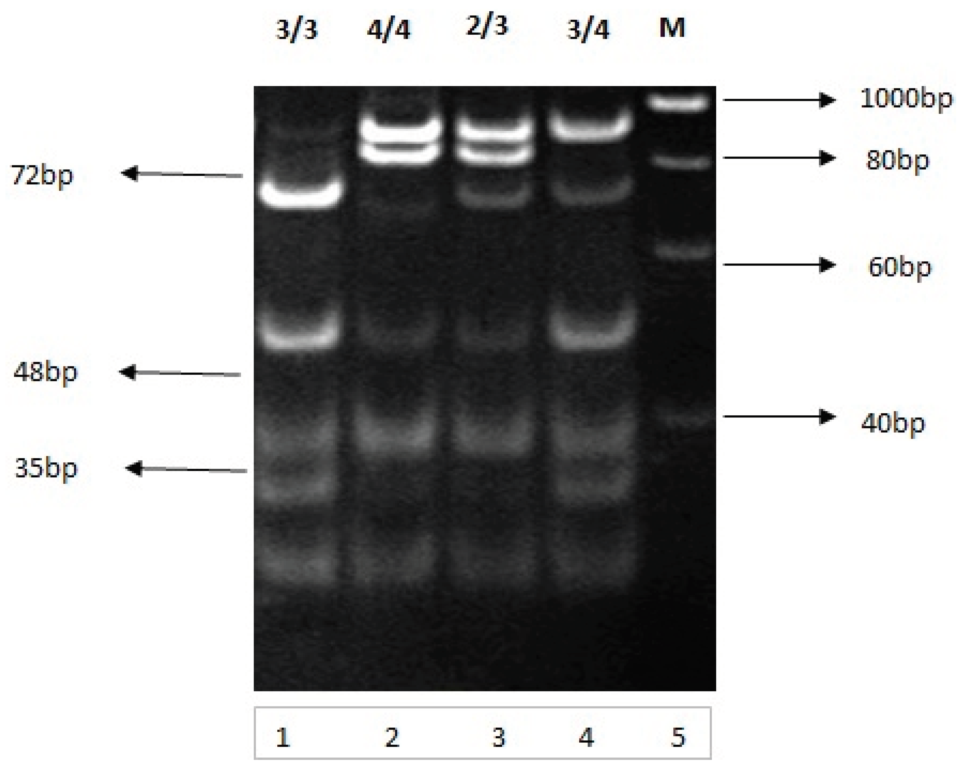 Preprints 102578 g007