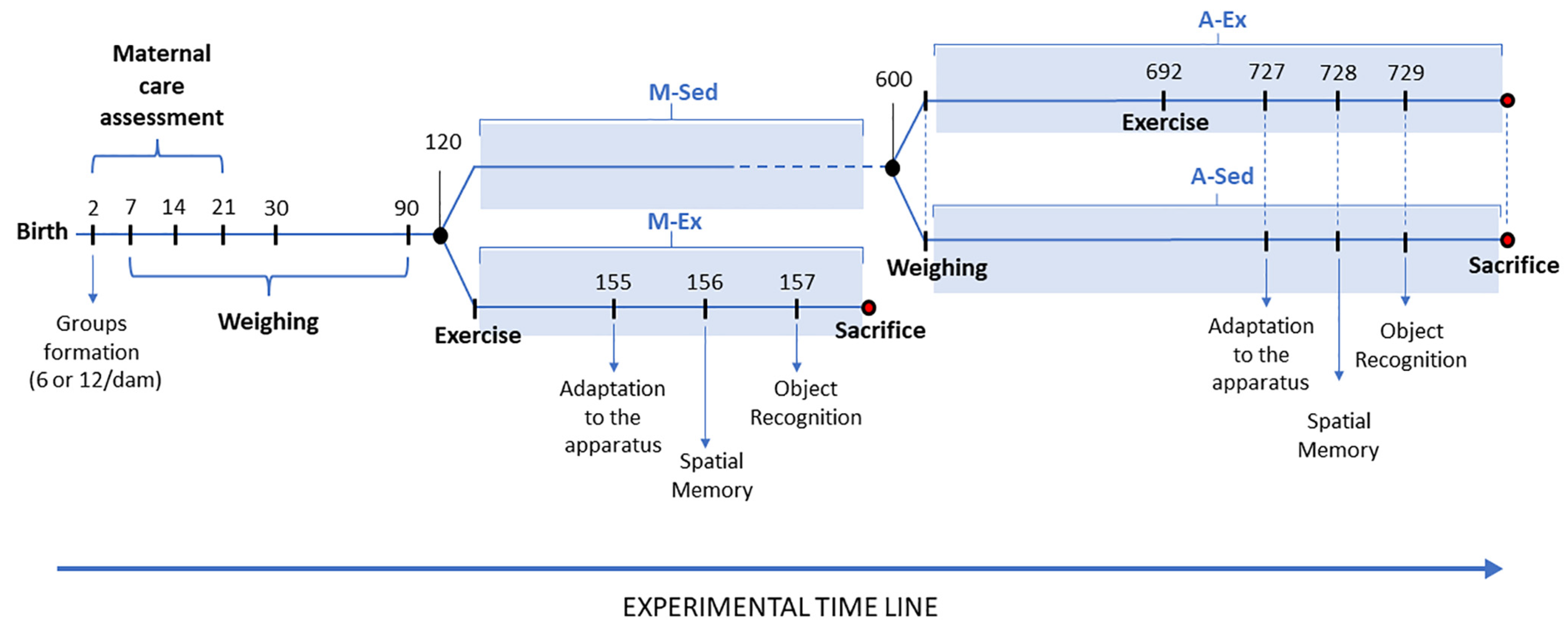 Preprints 103842 g001