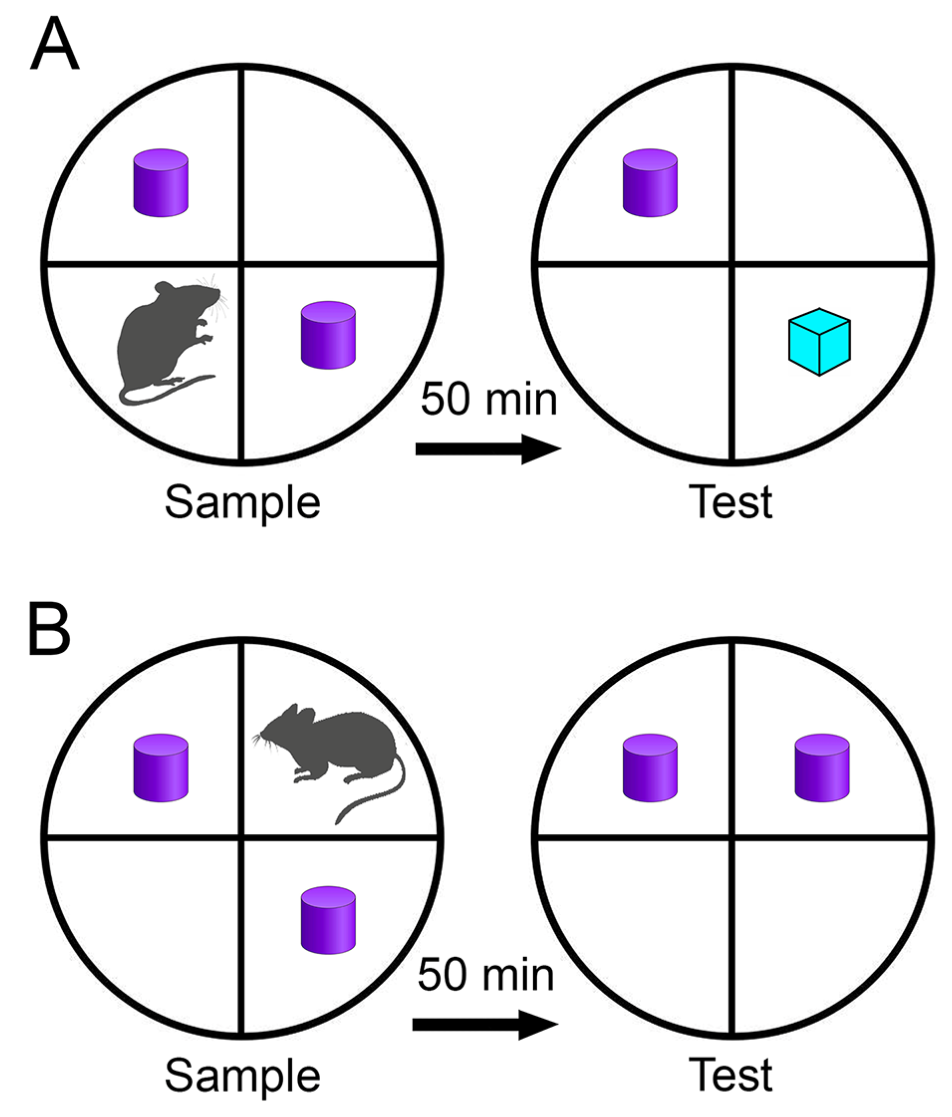 Preprints 103842 g002