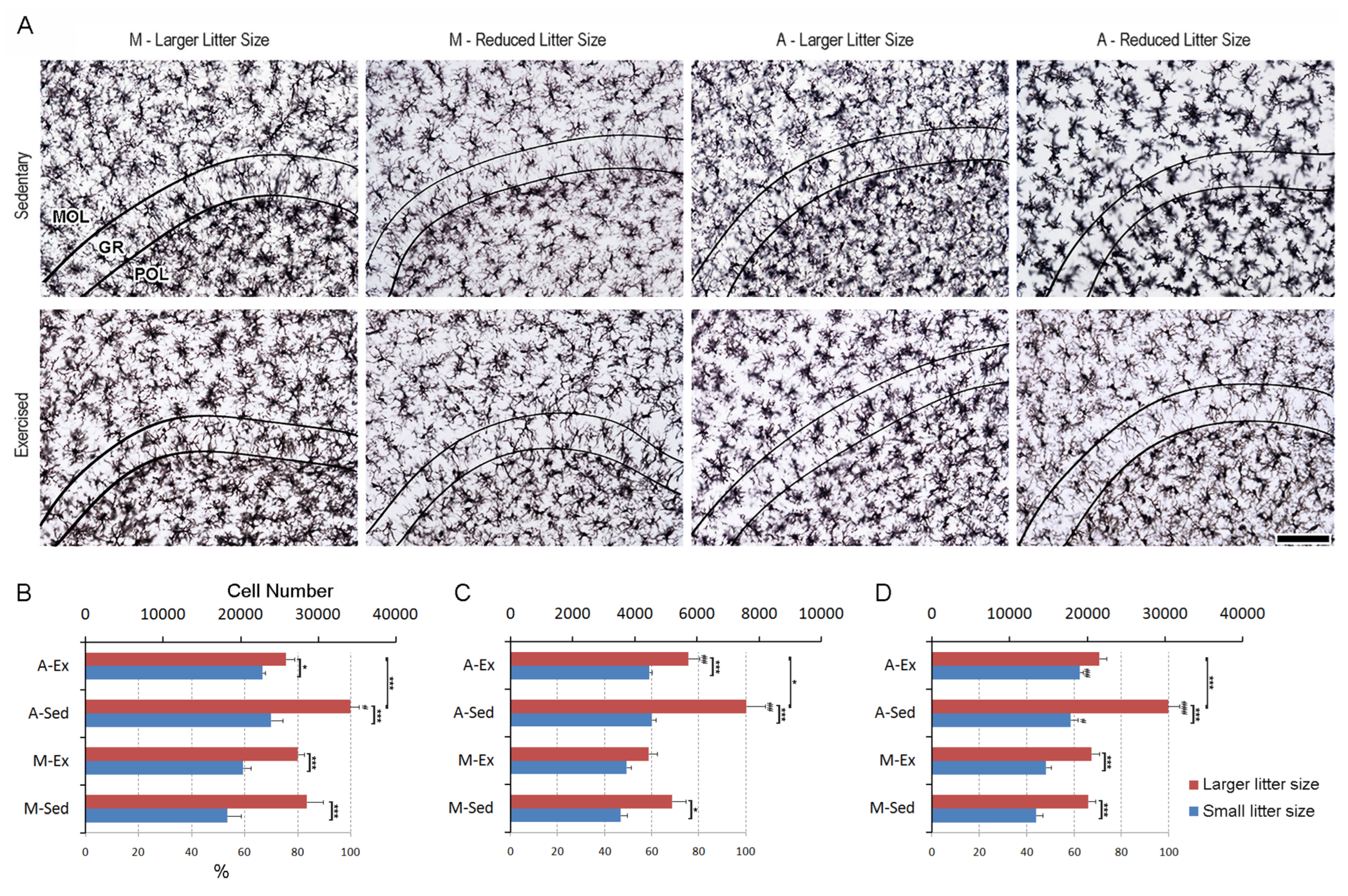 Preprints 103842 g006