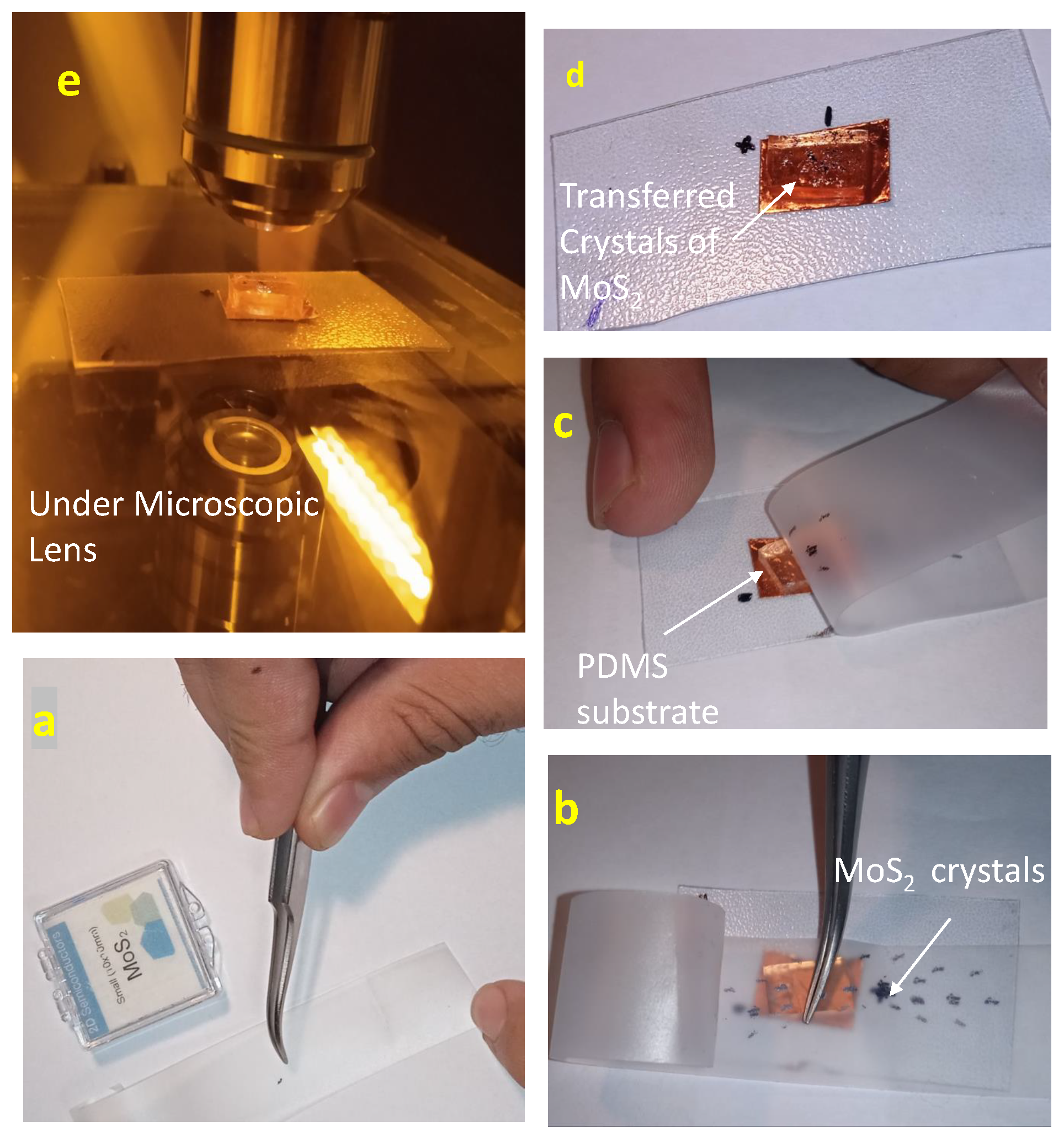 Preprints 89495 g003