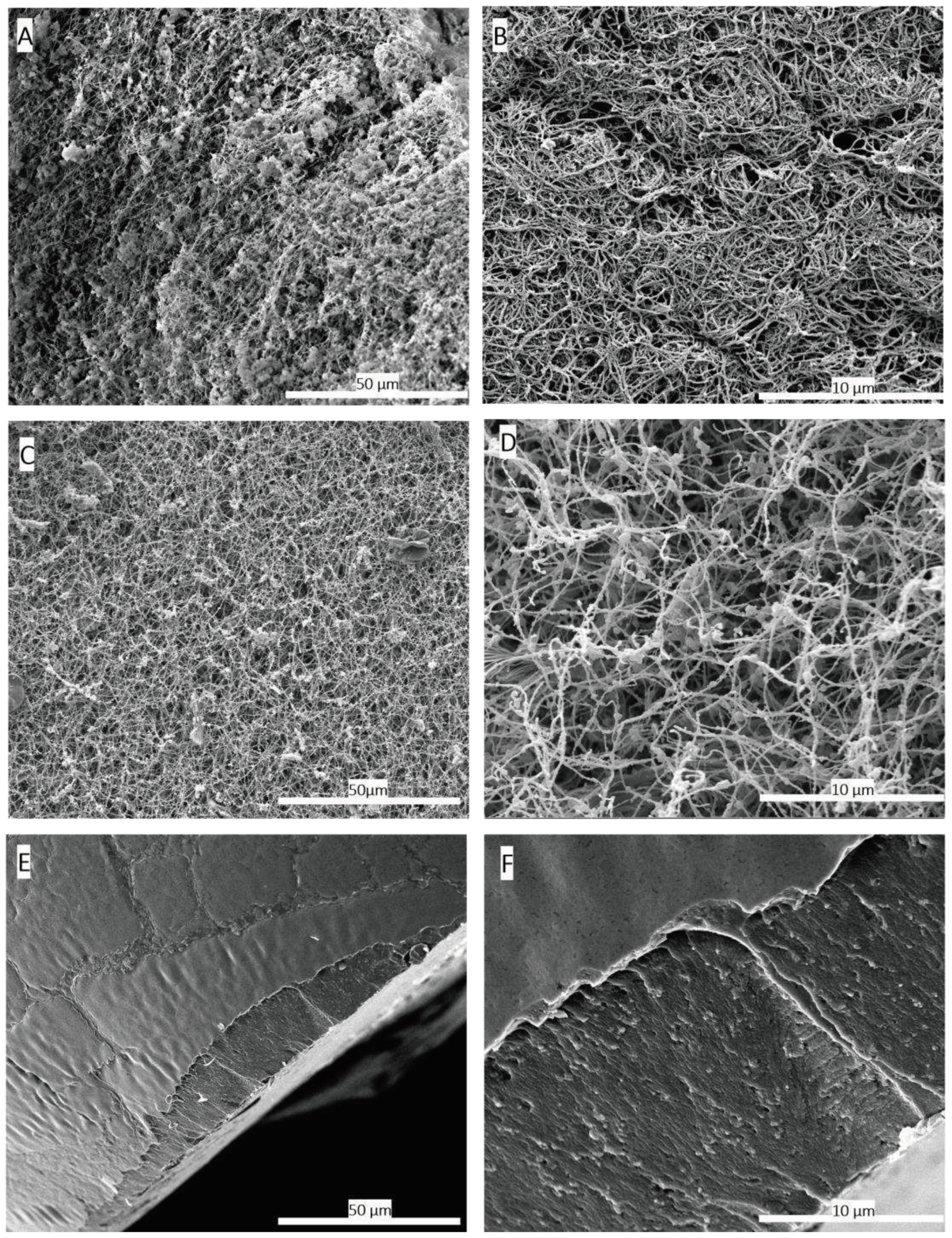 Preprints 94941 g002