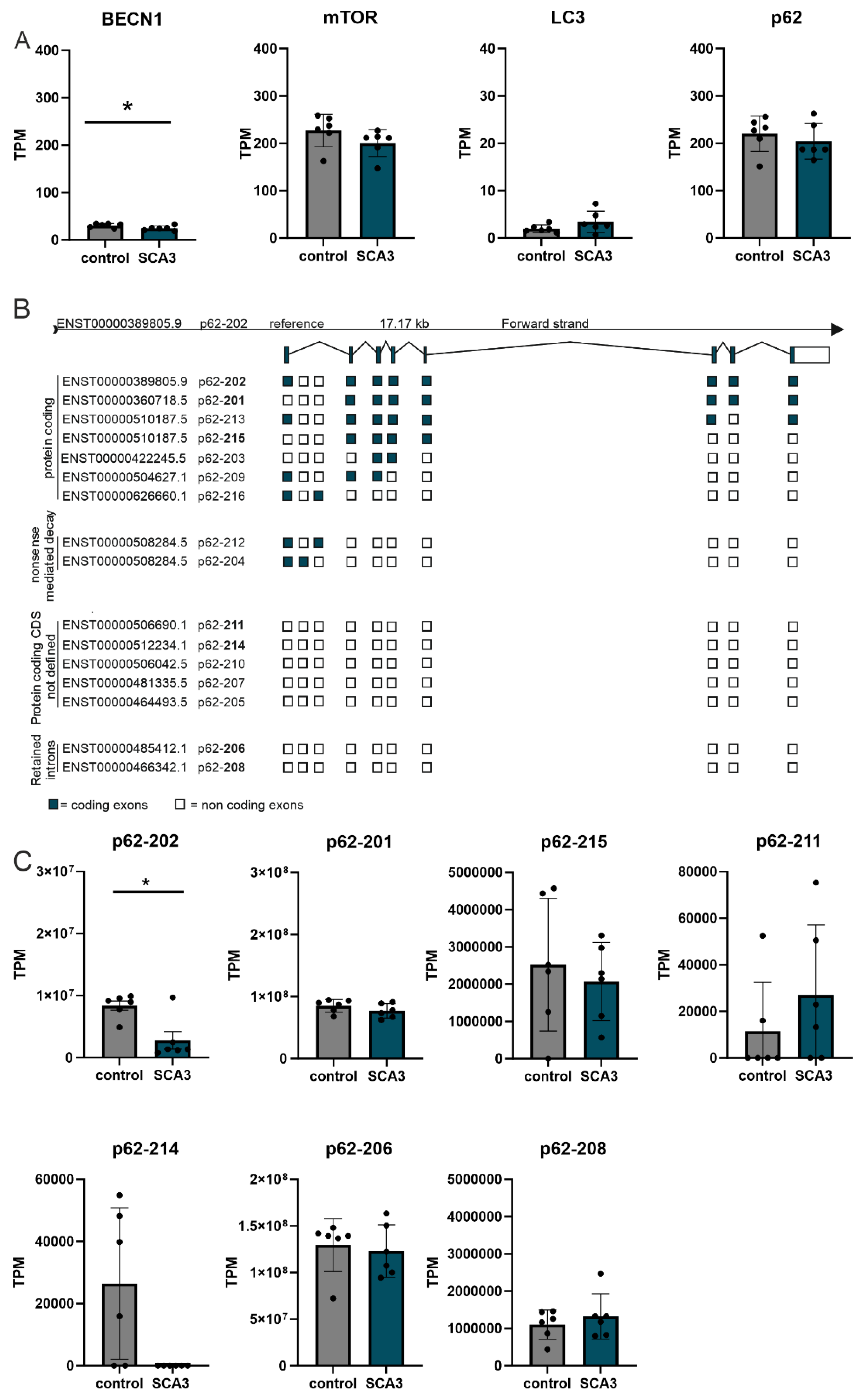 Preprints 100721 g001