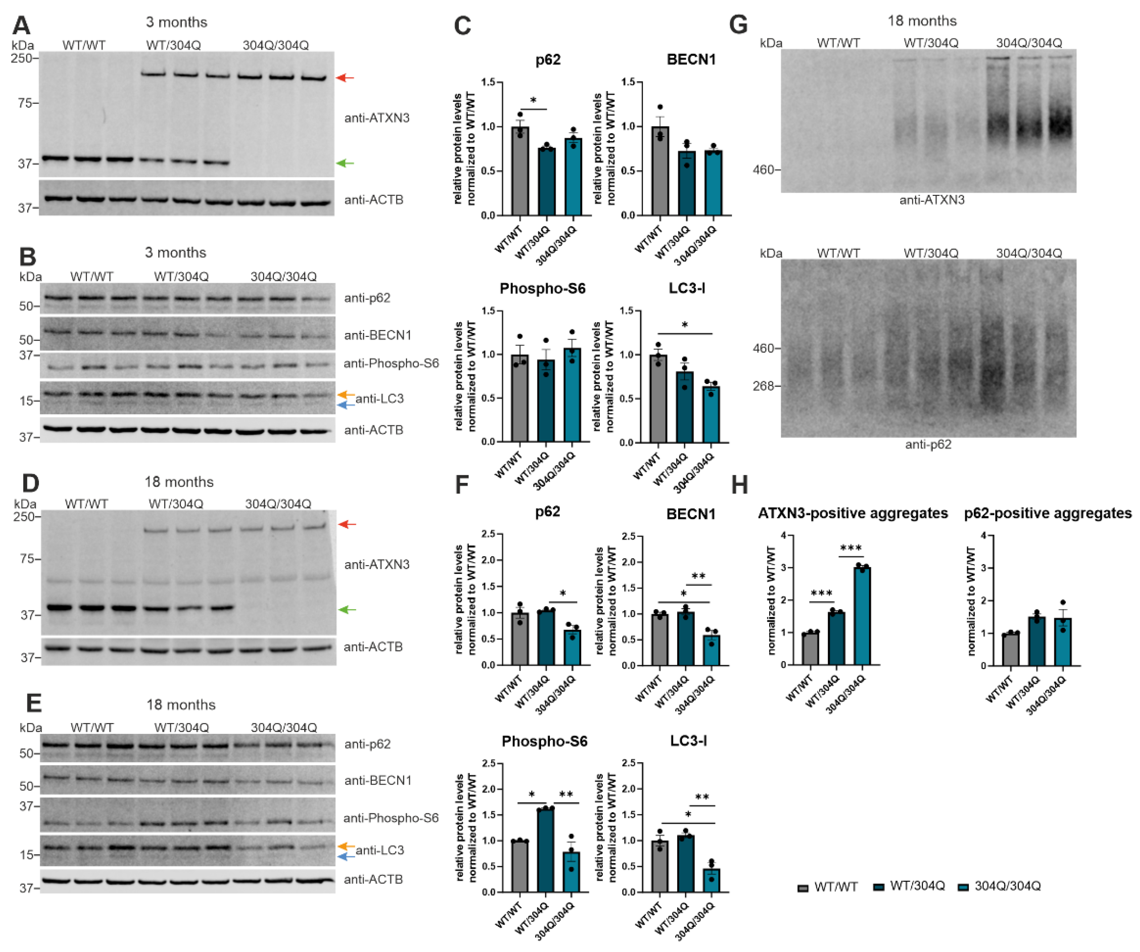 Preprints 100721 g002