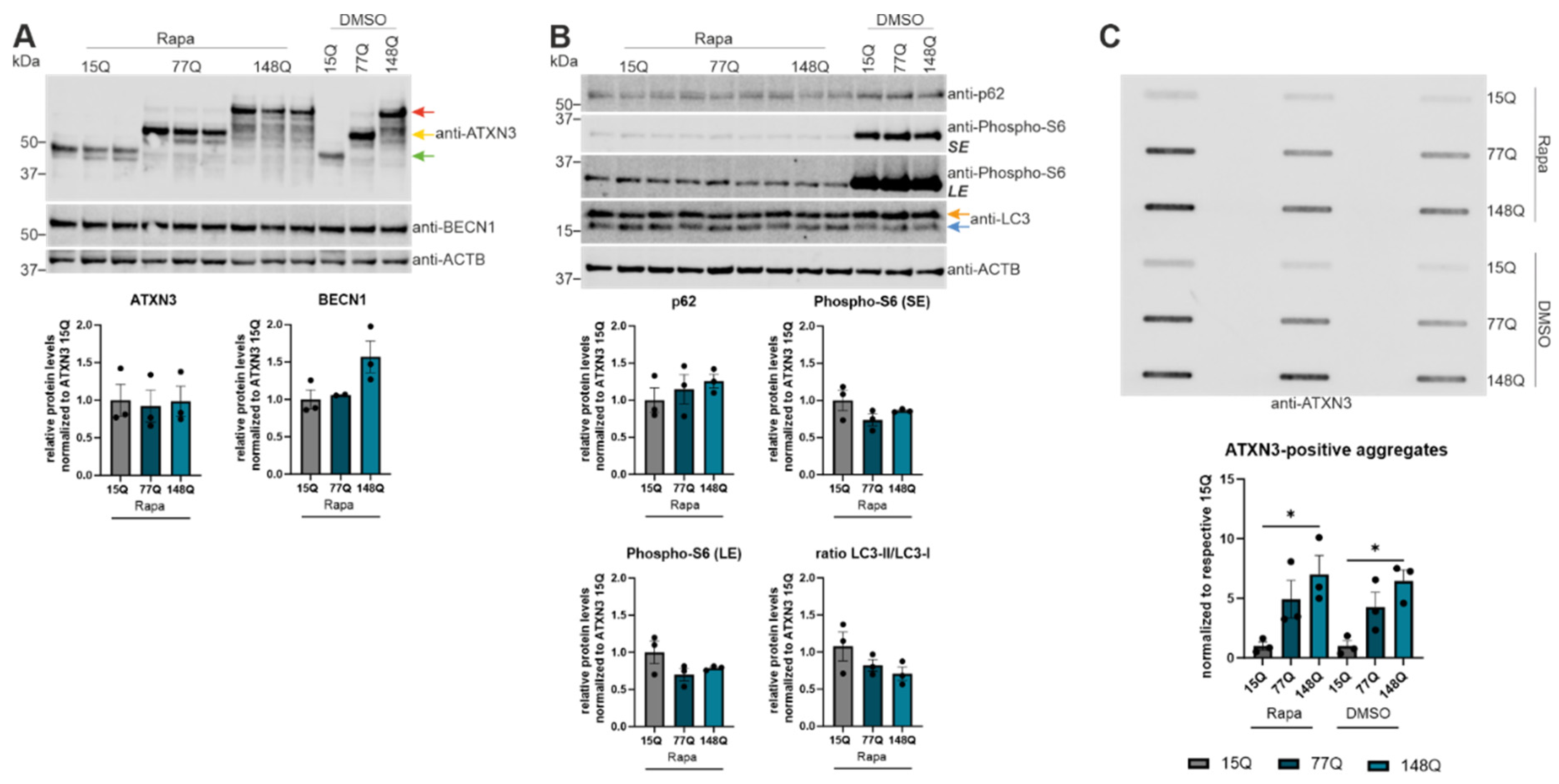 Preprints 100721 g004