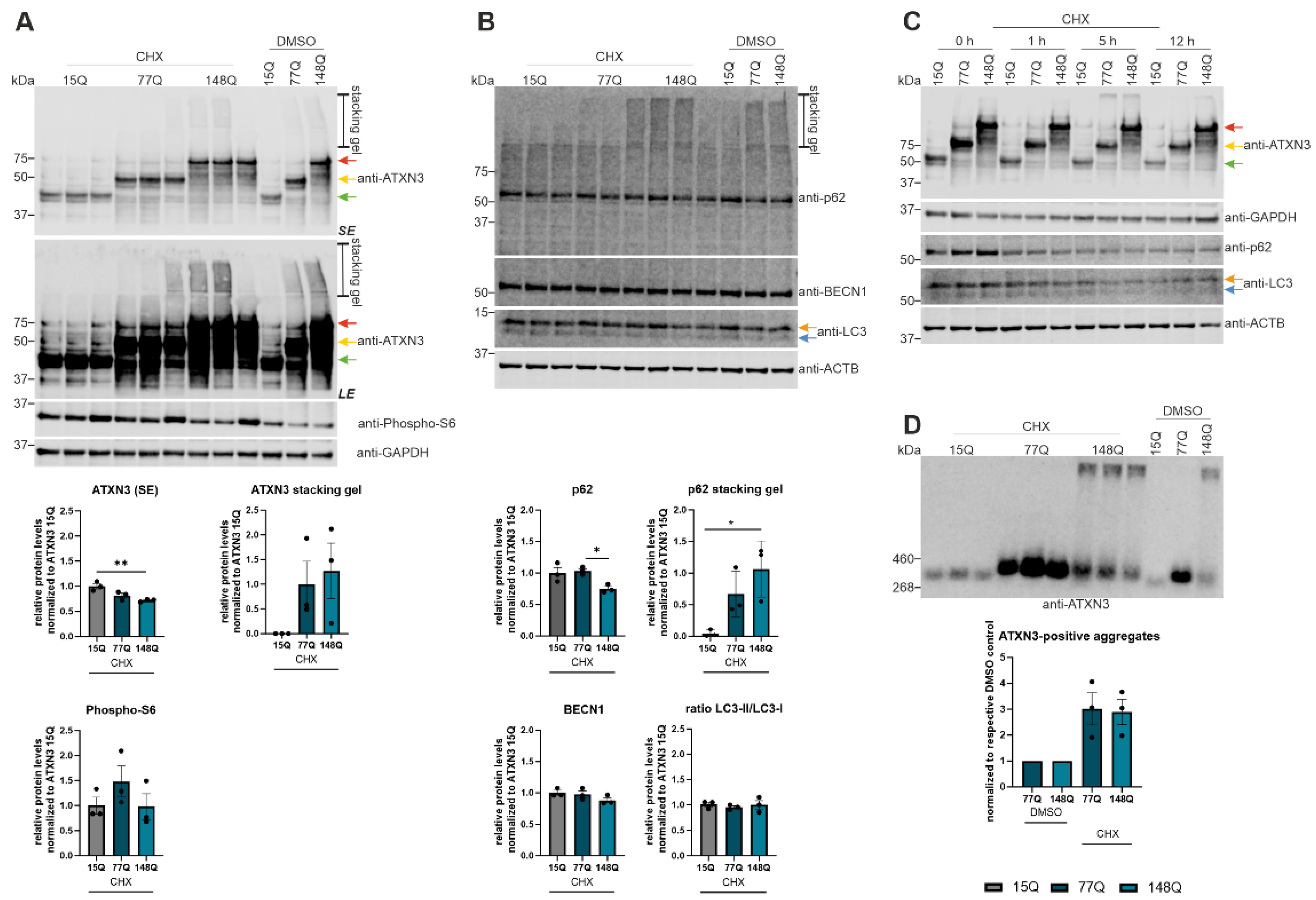 Preprints 100721 g005