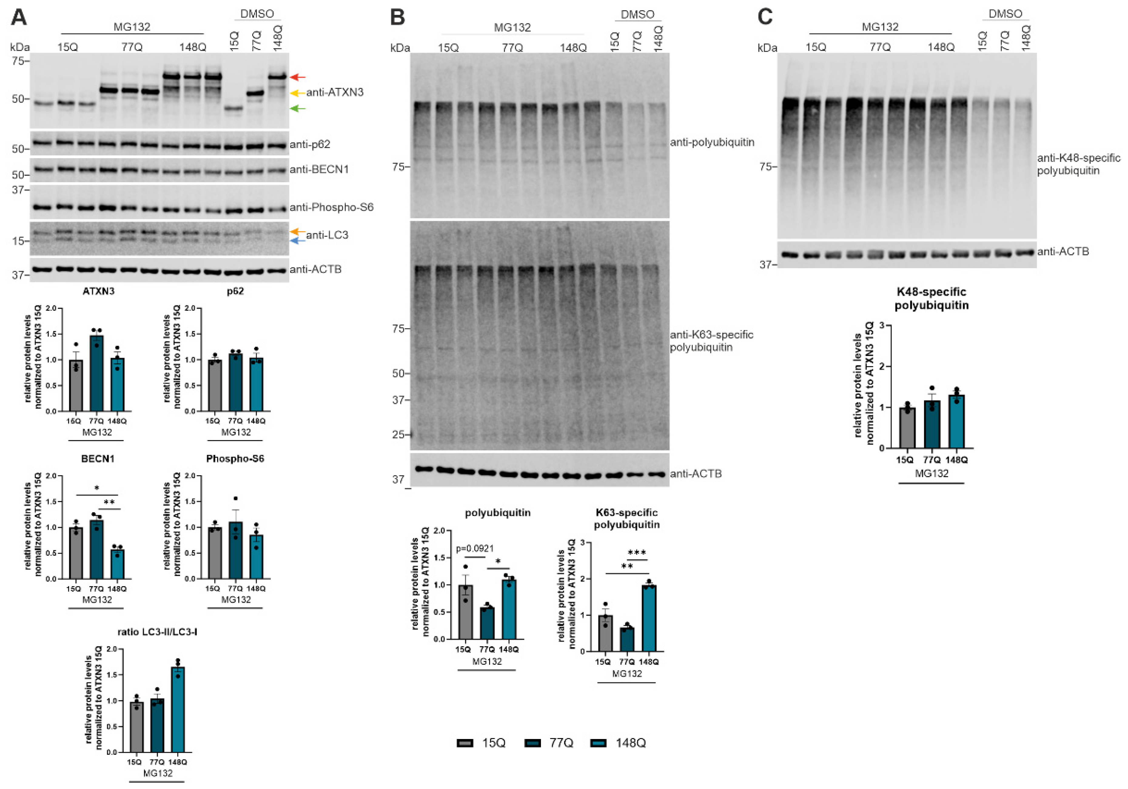 Preprints 100721 g006