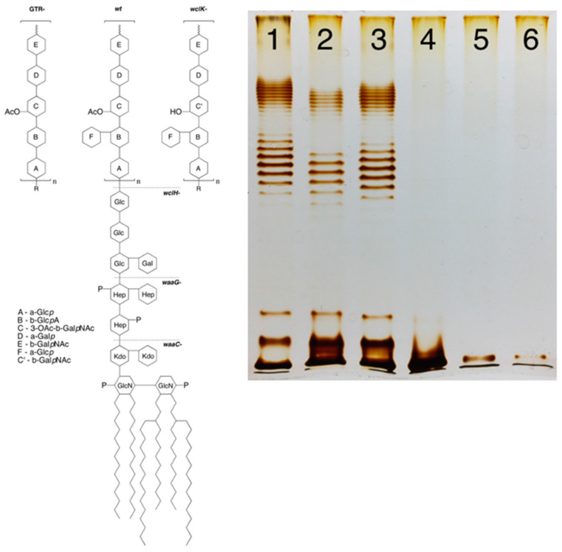 Preprints 90231 g001