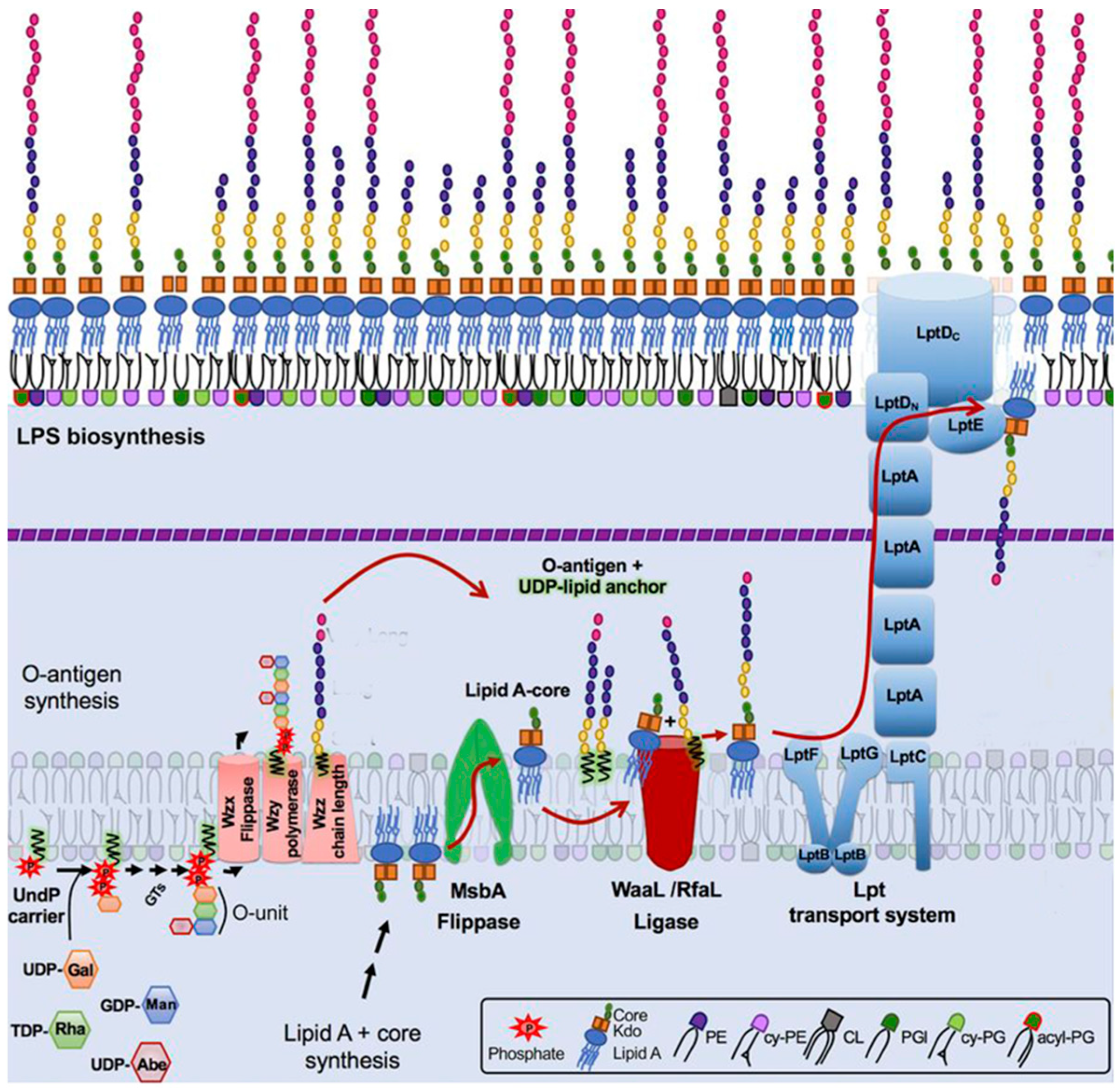 Preprints 90231 g002