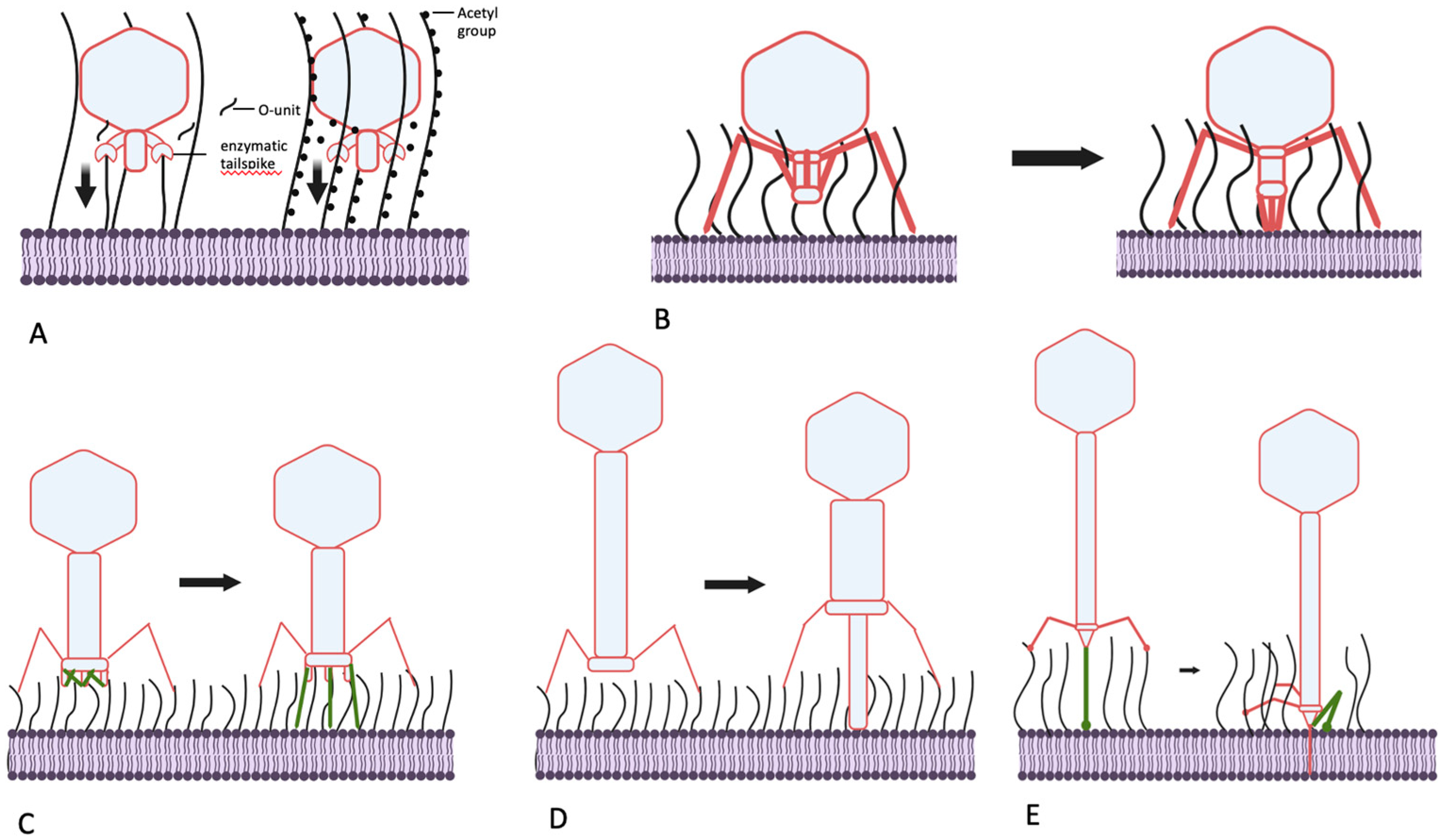 Preprints 90231 g004