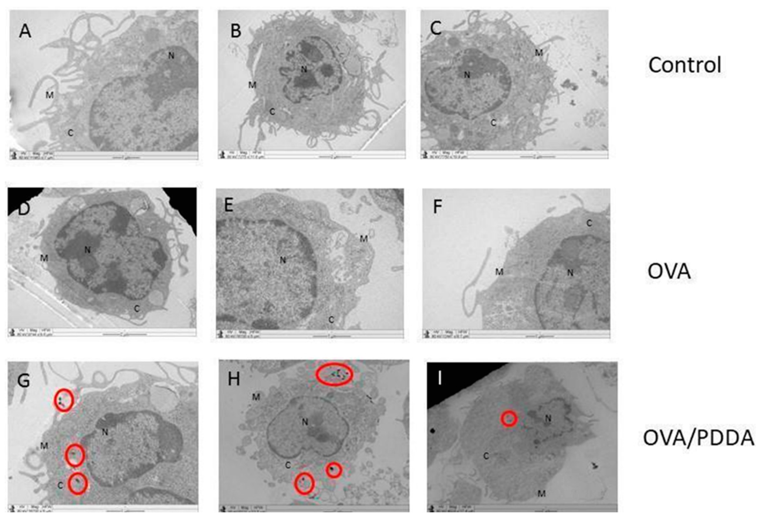 Preprints 138304 g007