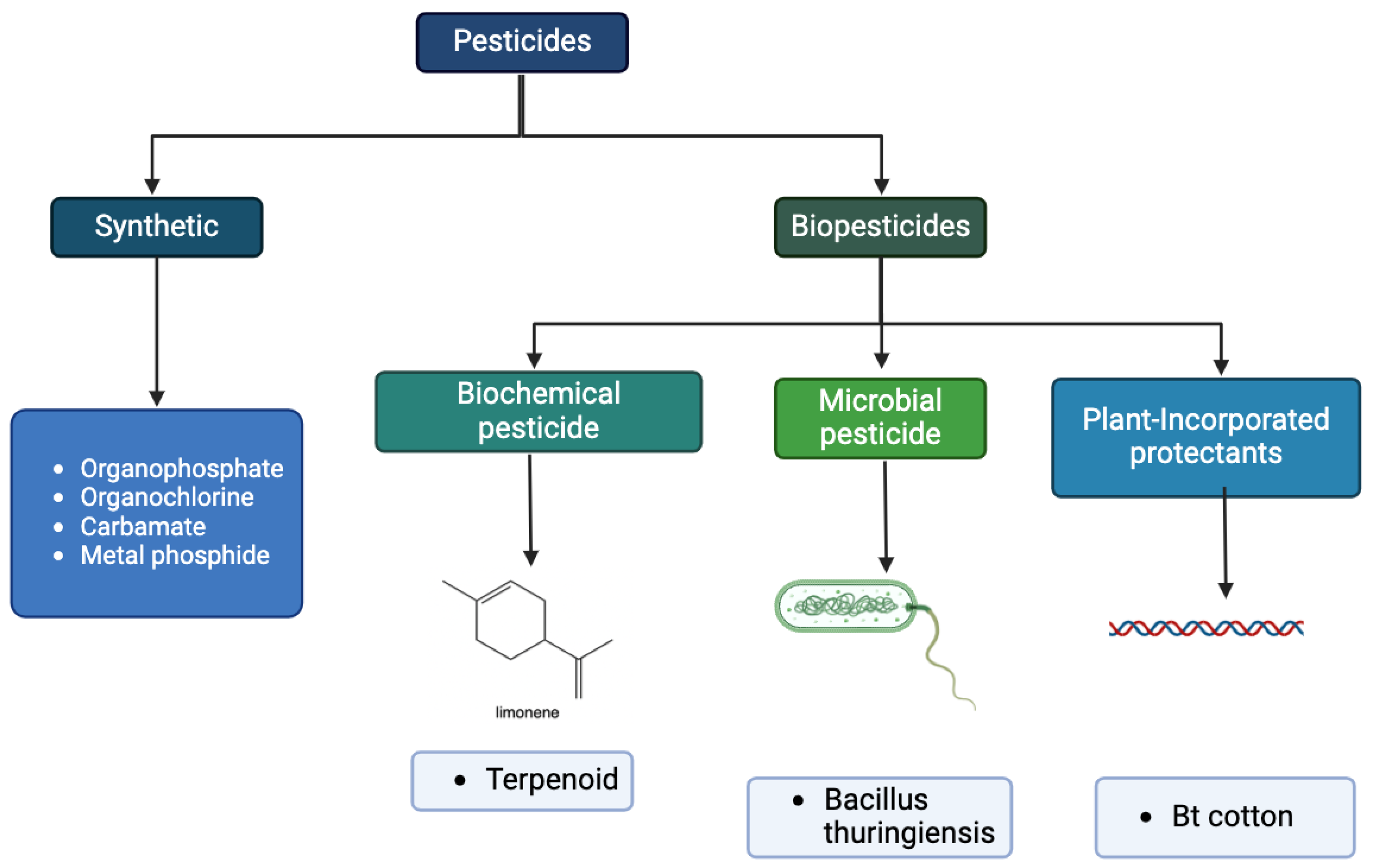 Preprints 118962 g003