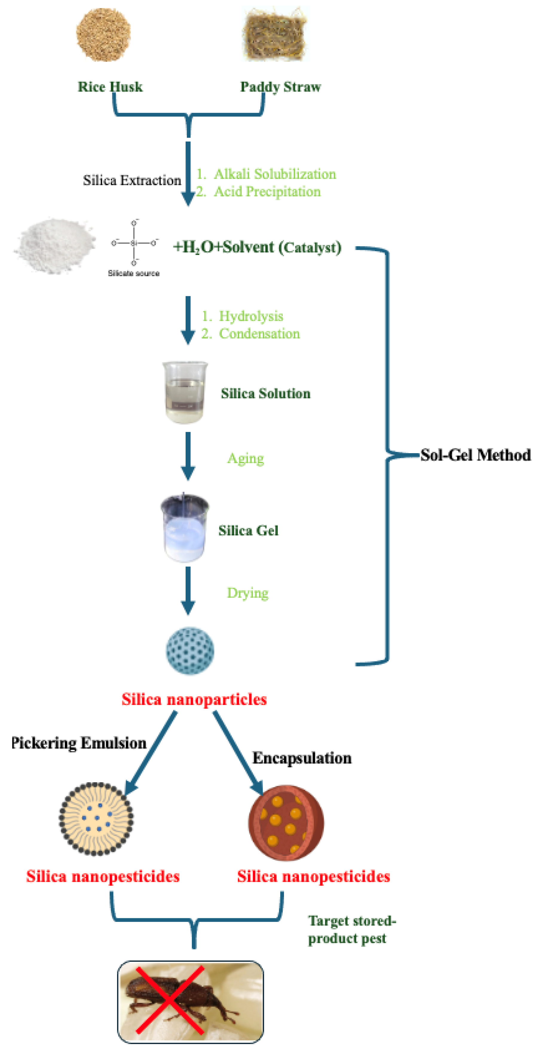 Preprints 118962 g007