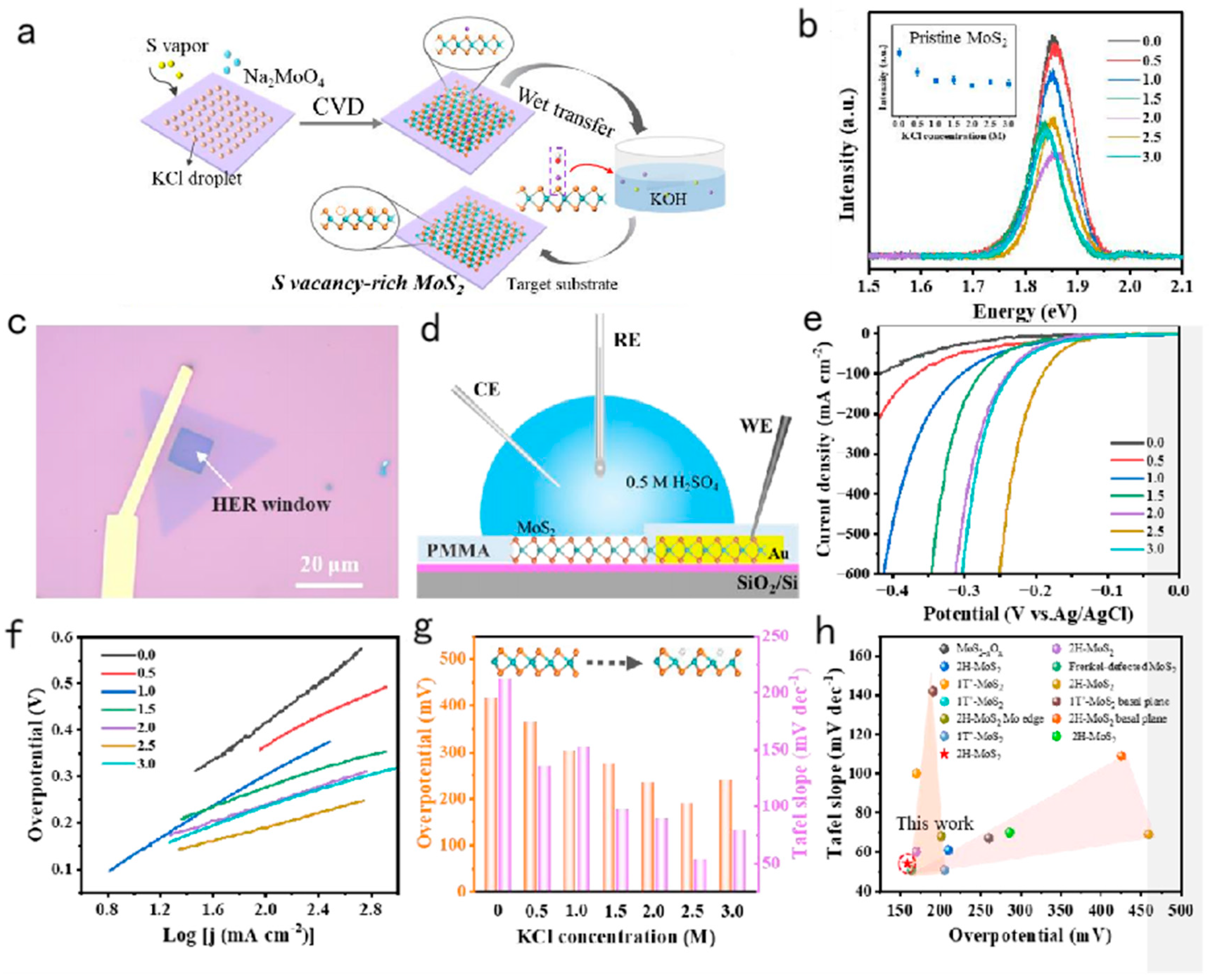 Preprints 82581 g003