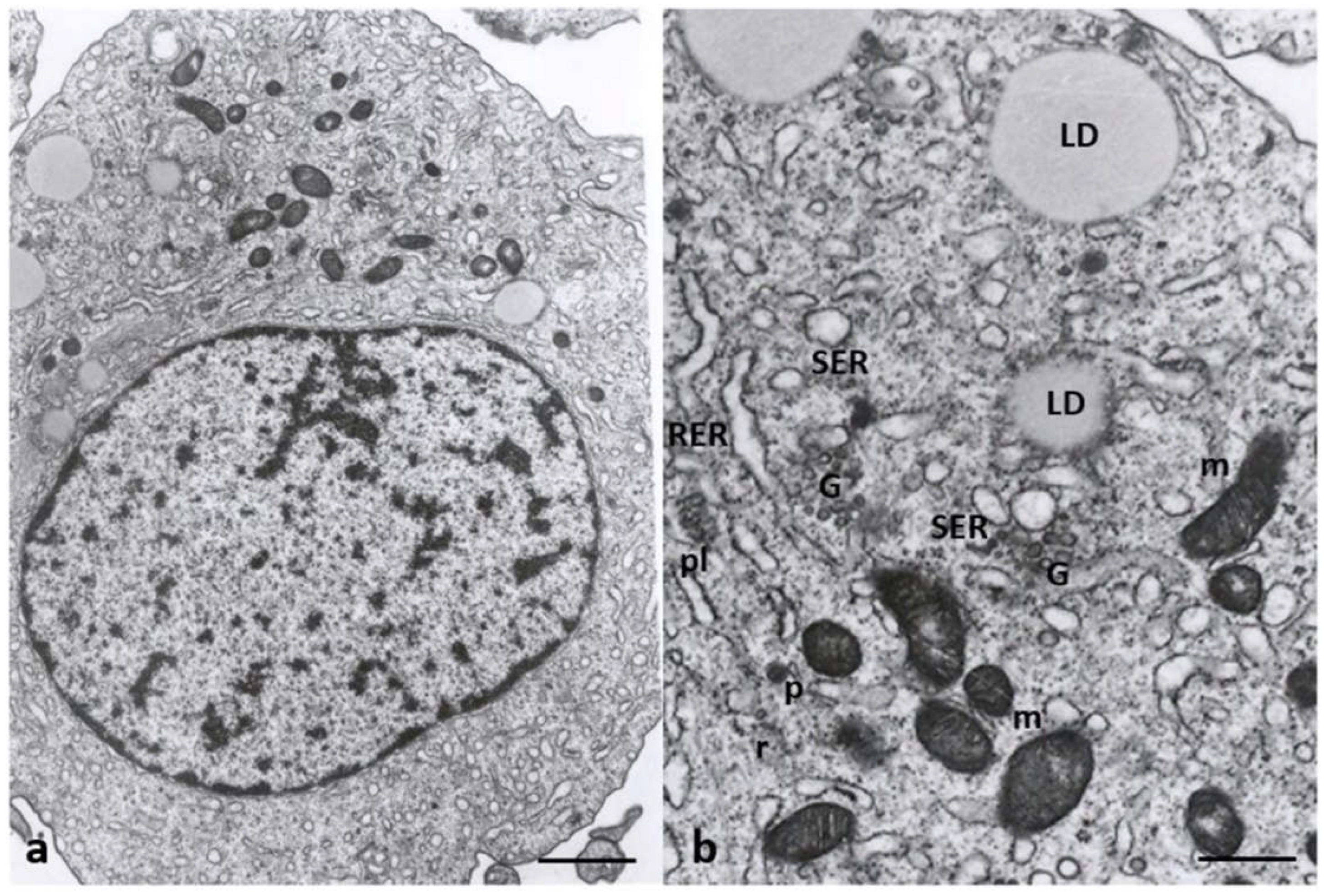 Preprints 87645 g008