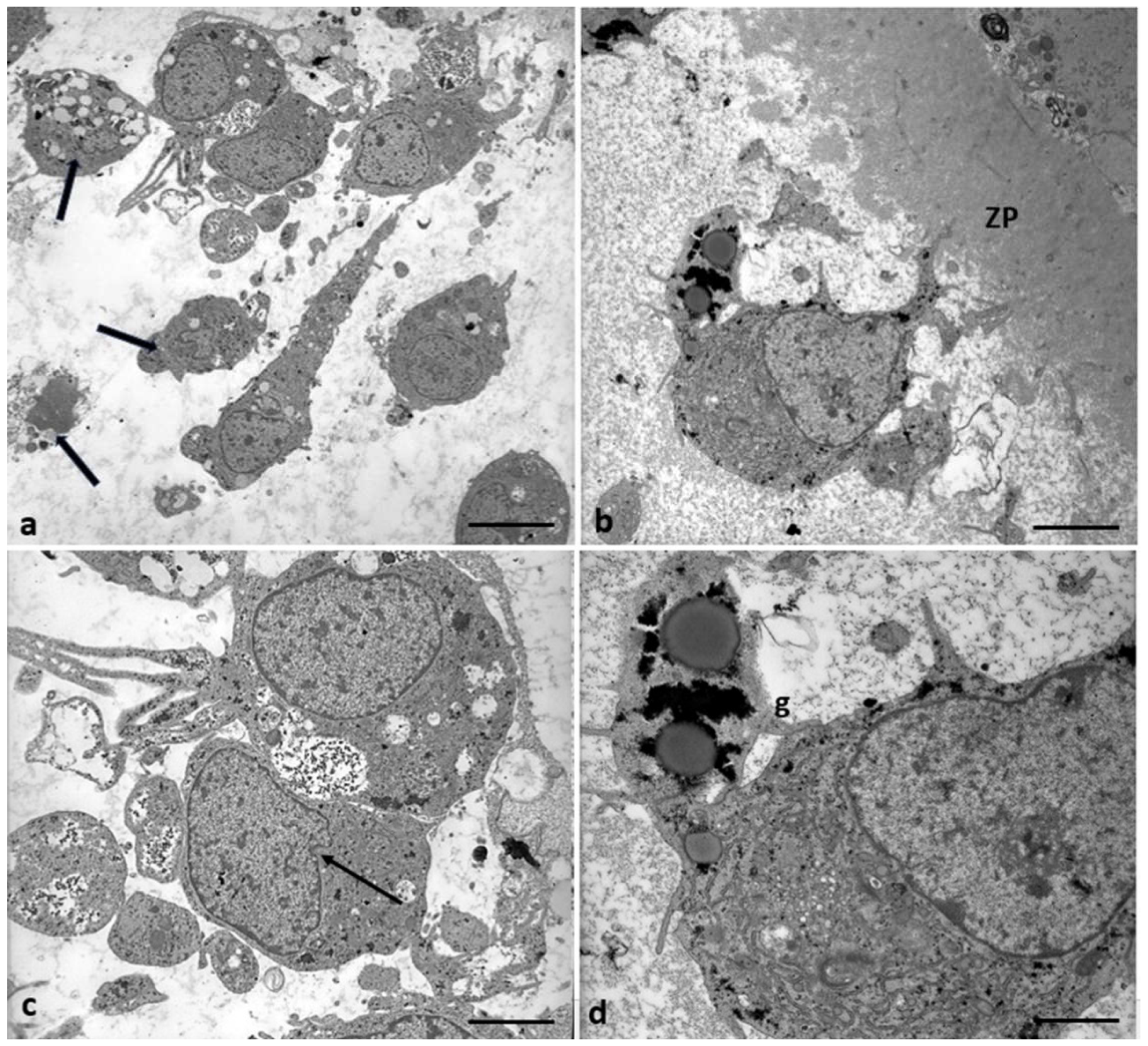 Preprints 87645 g009