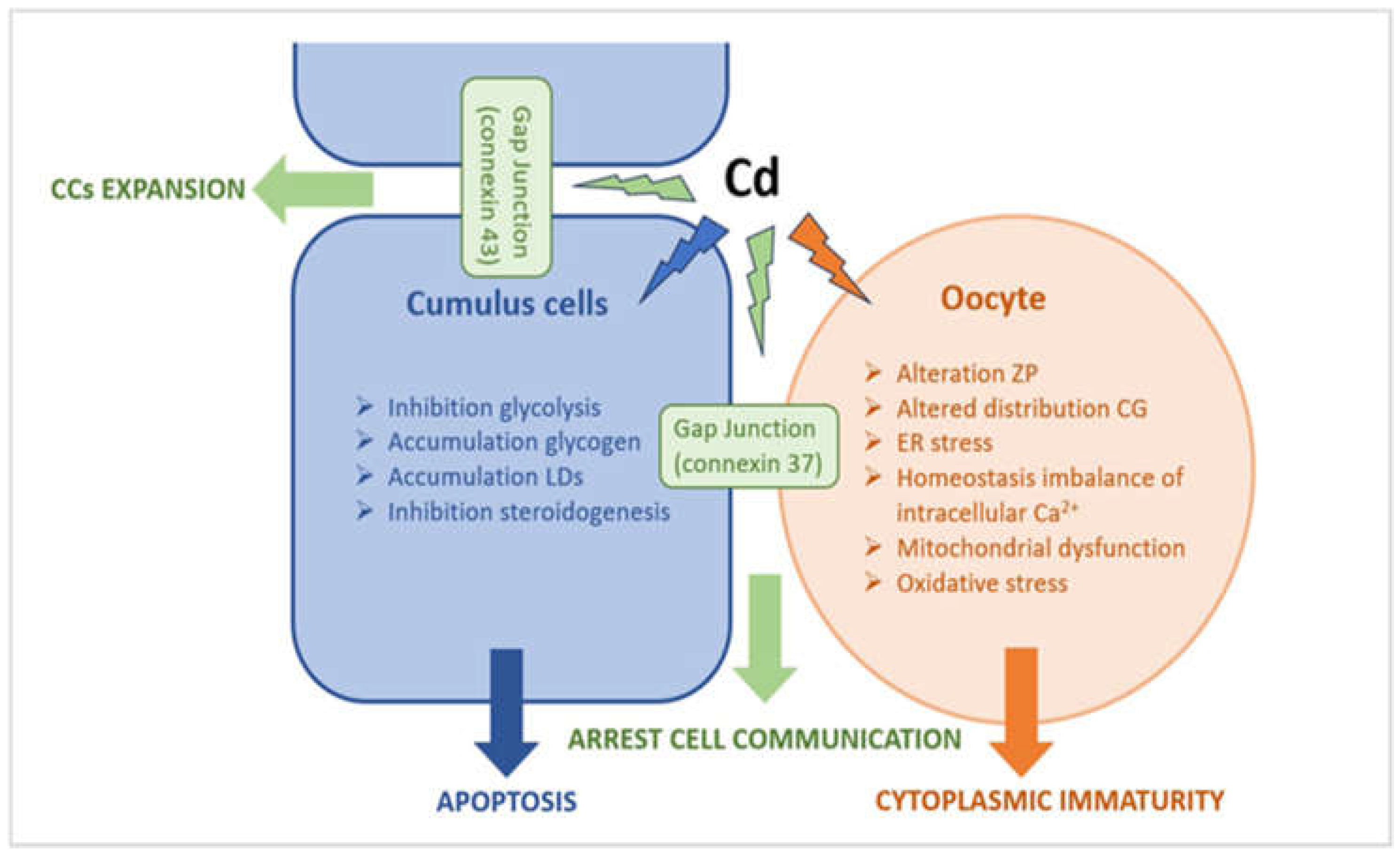 Preprints 87645 g012