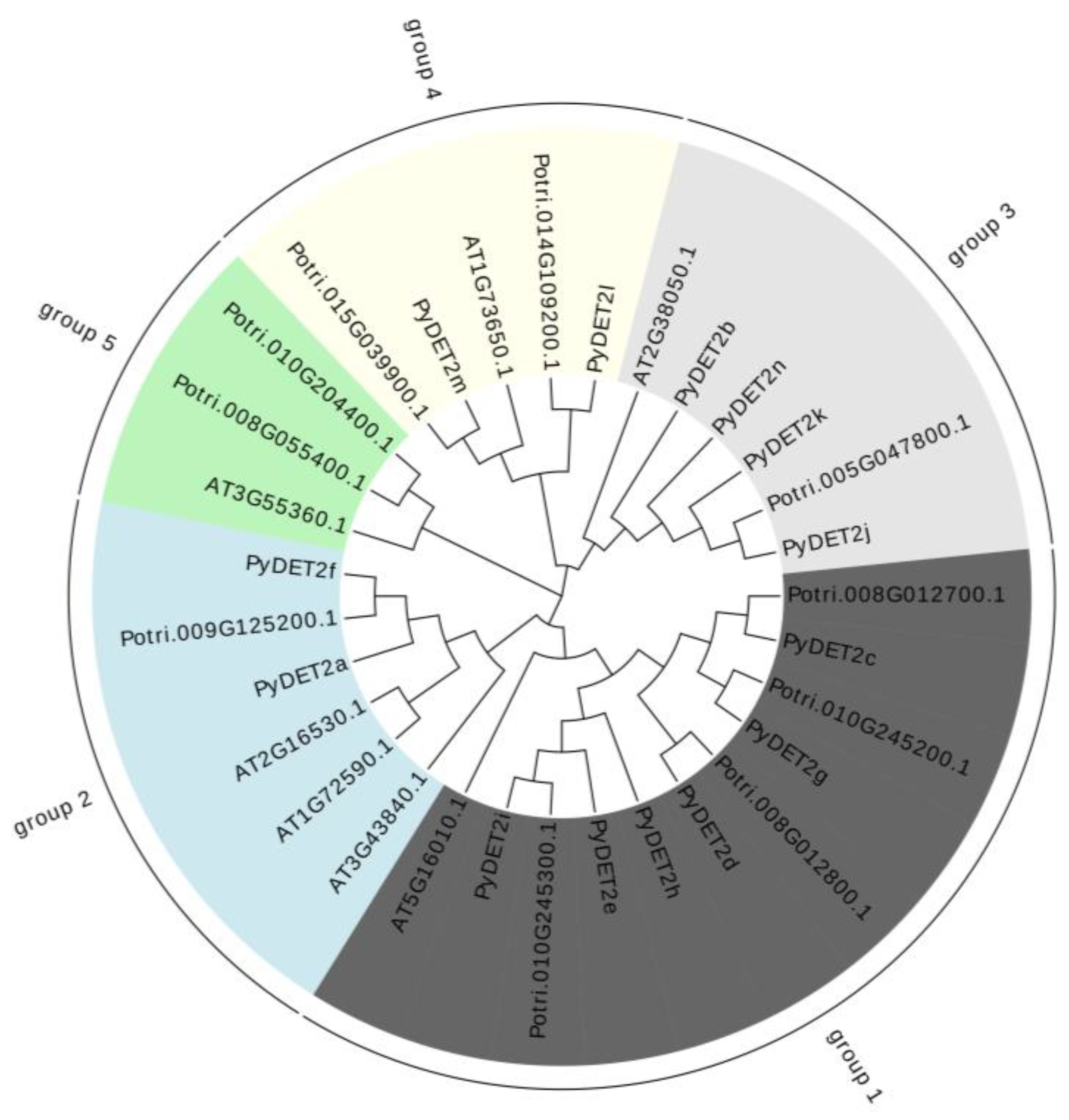 Preprints 92991 g001