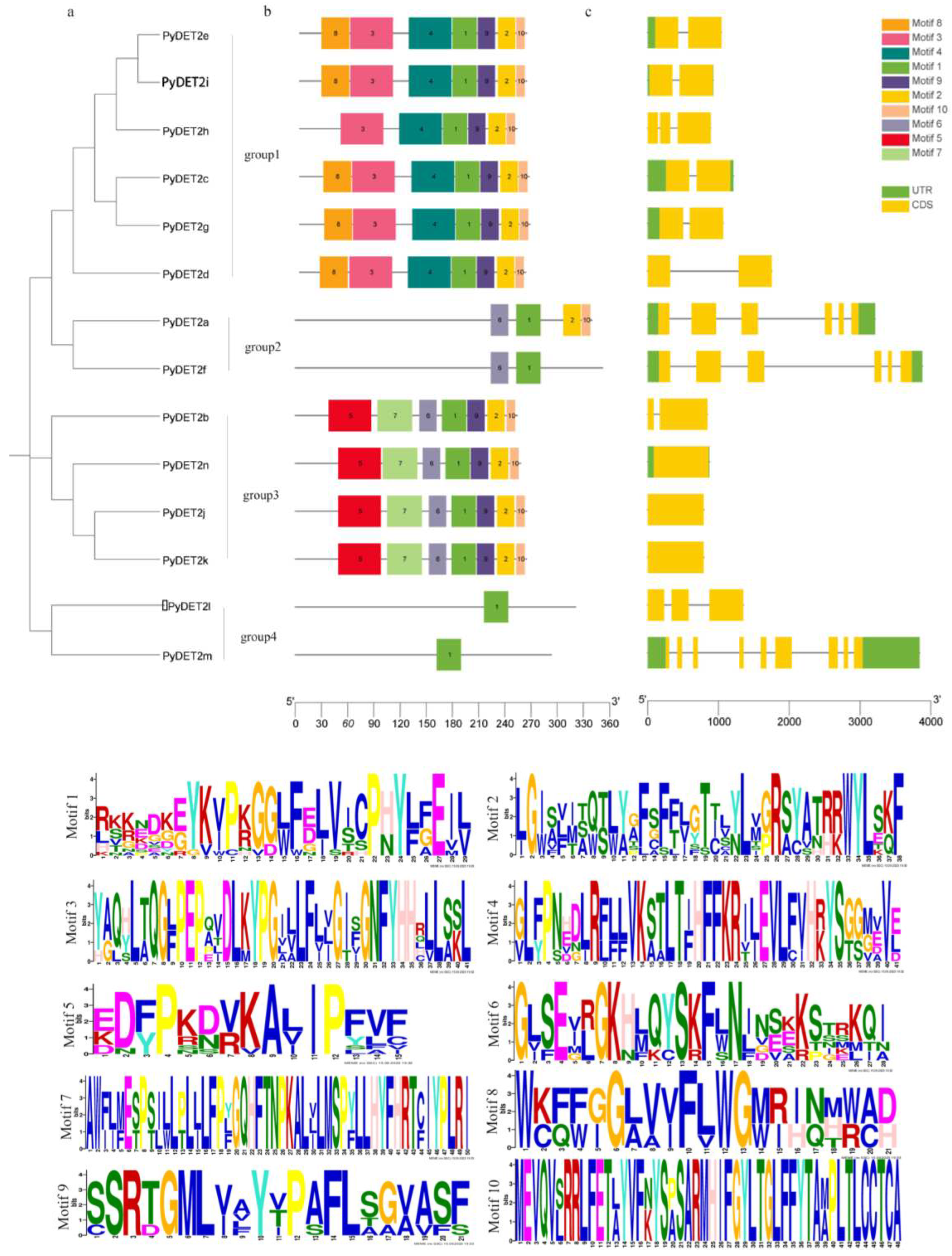 Preprints 92991 g002