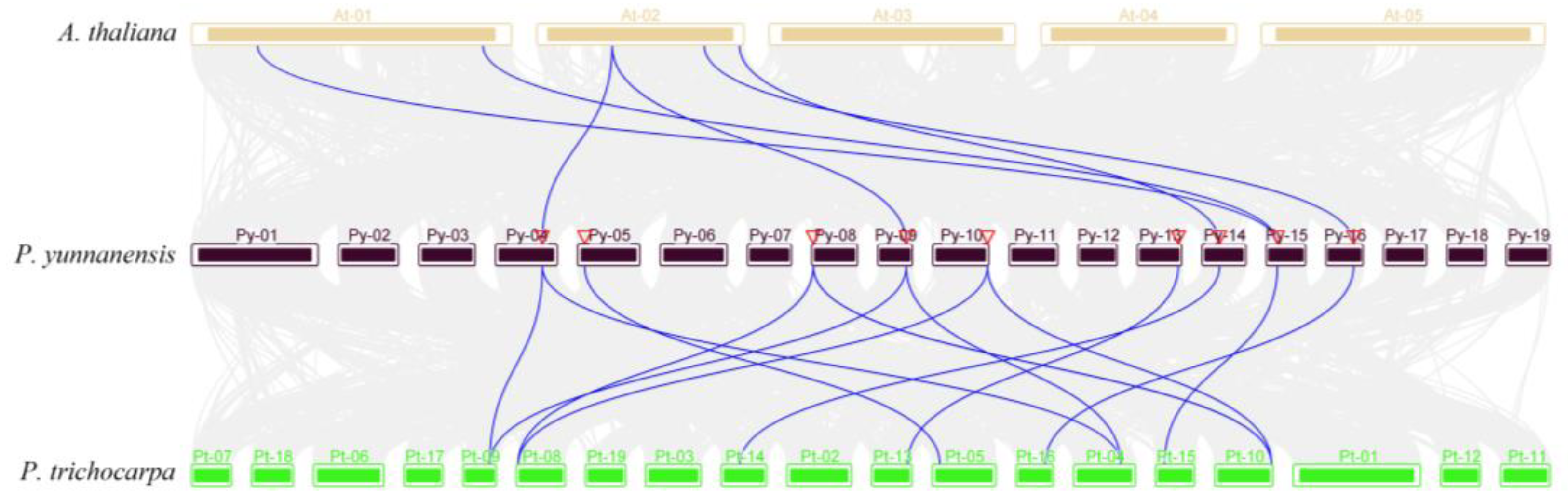 Preprints 92991 g005