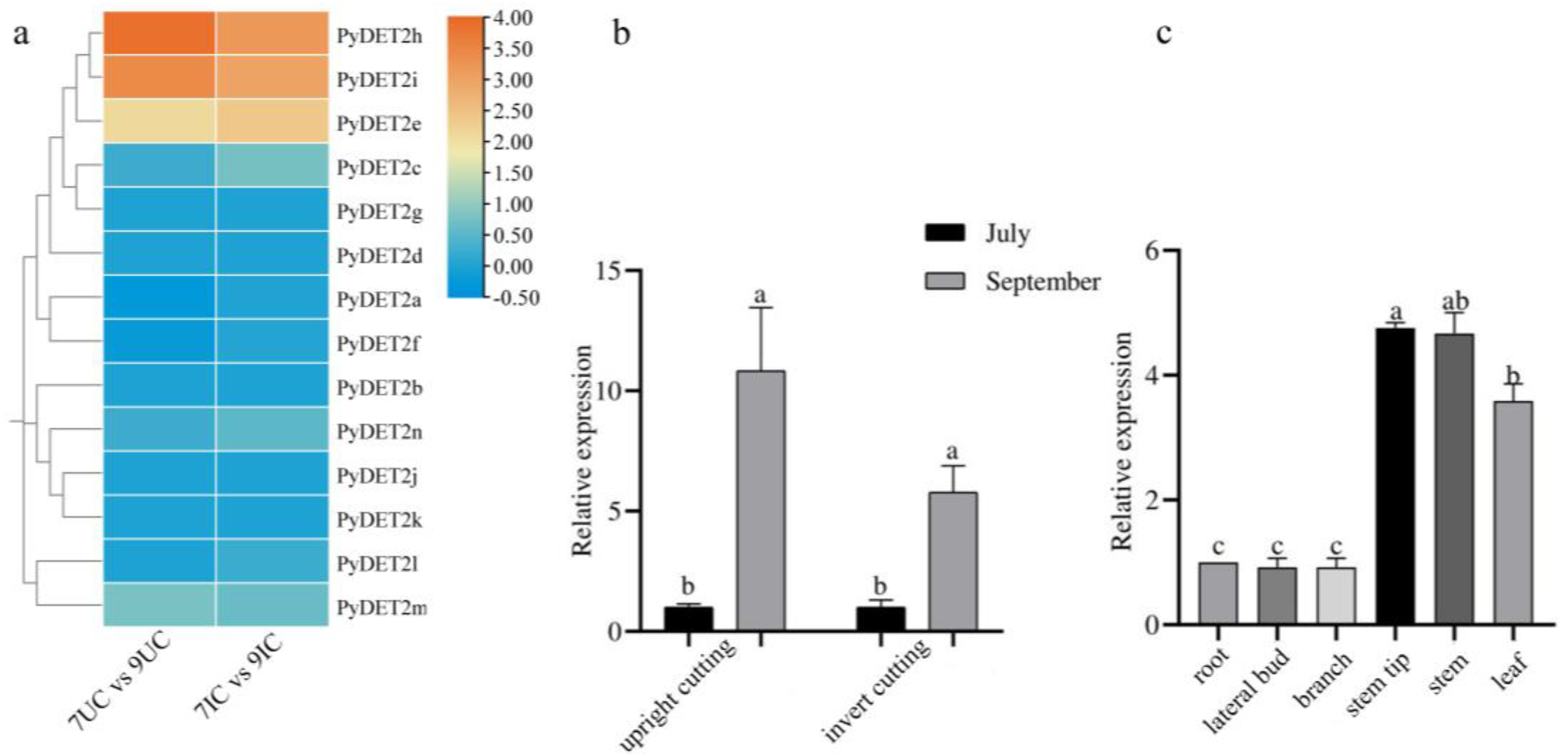 Preprints 92991 g009