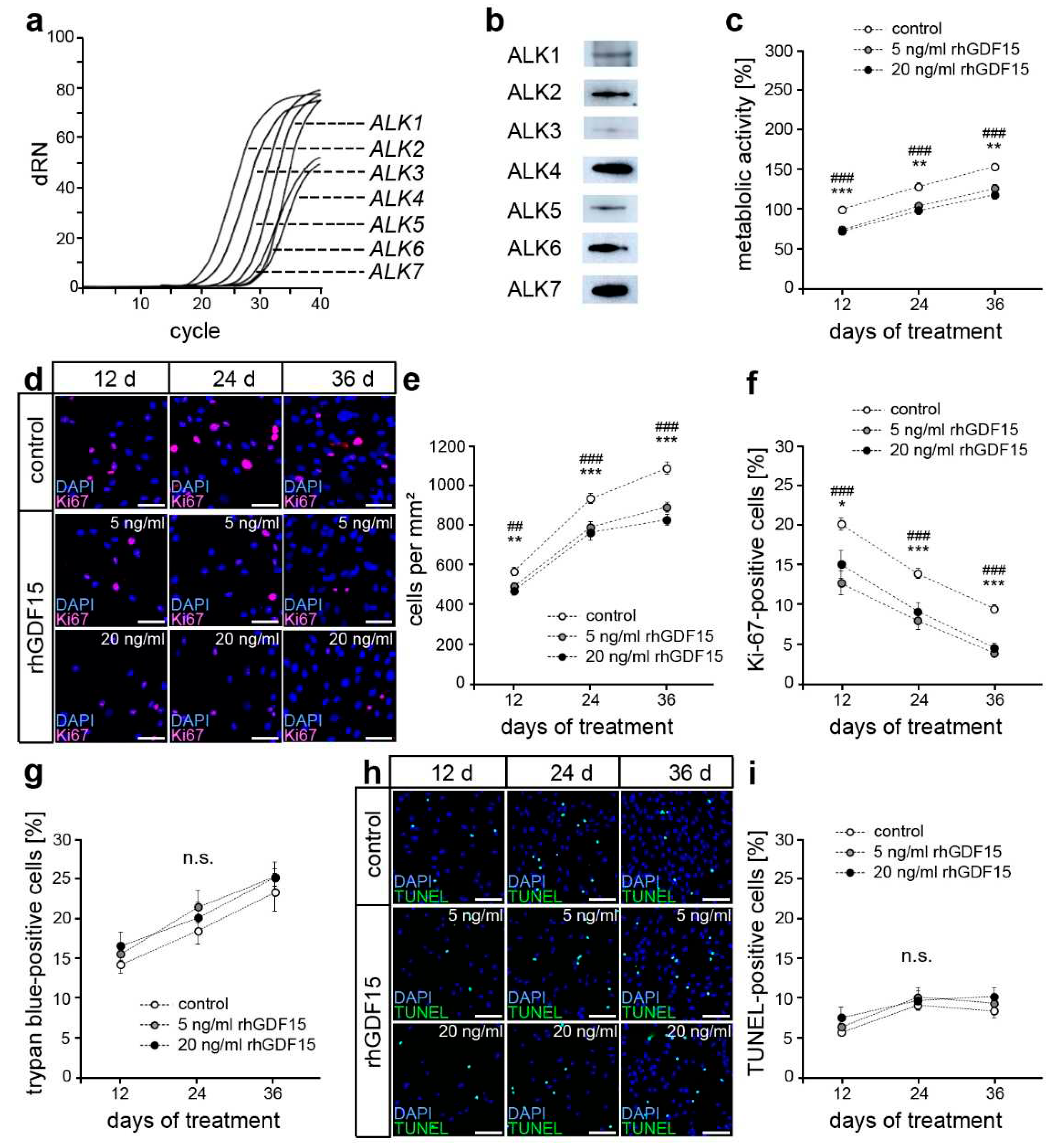 Preprints 72221 g001