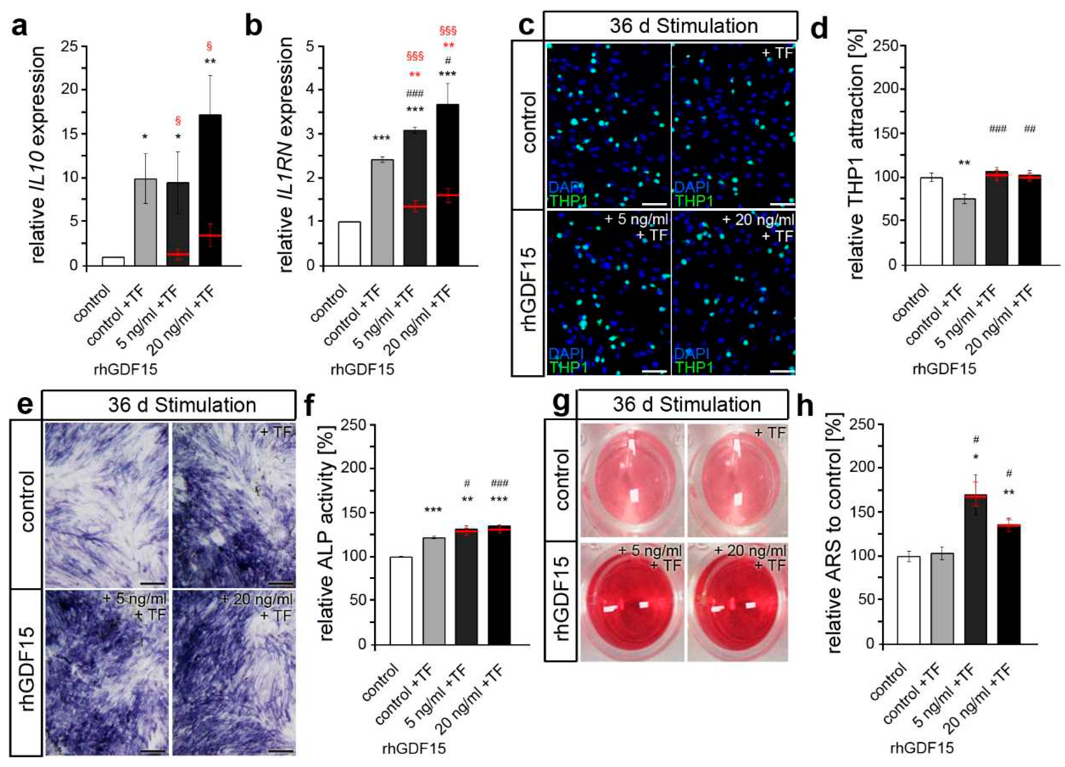 Preprints 72221 g004