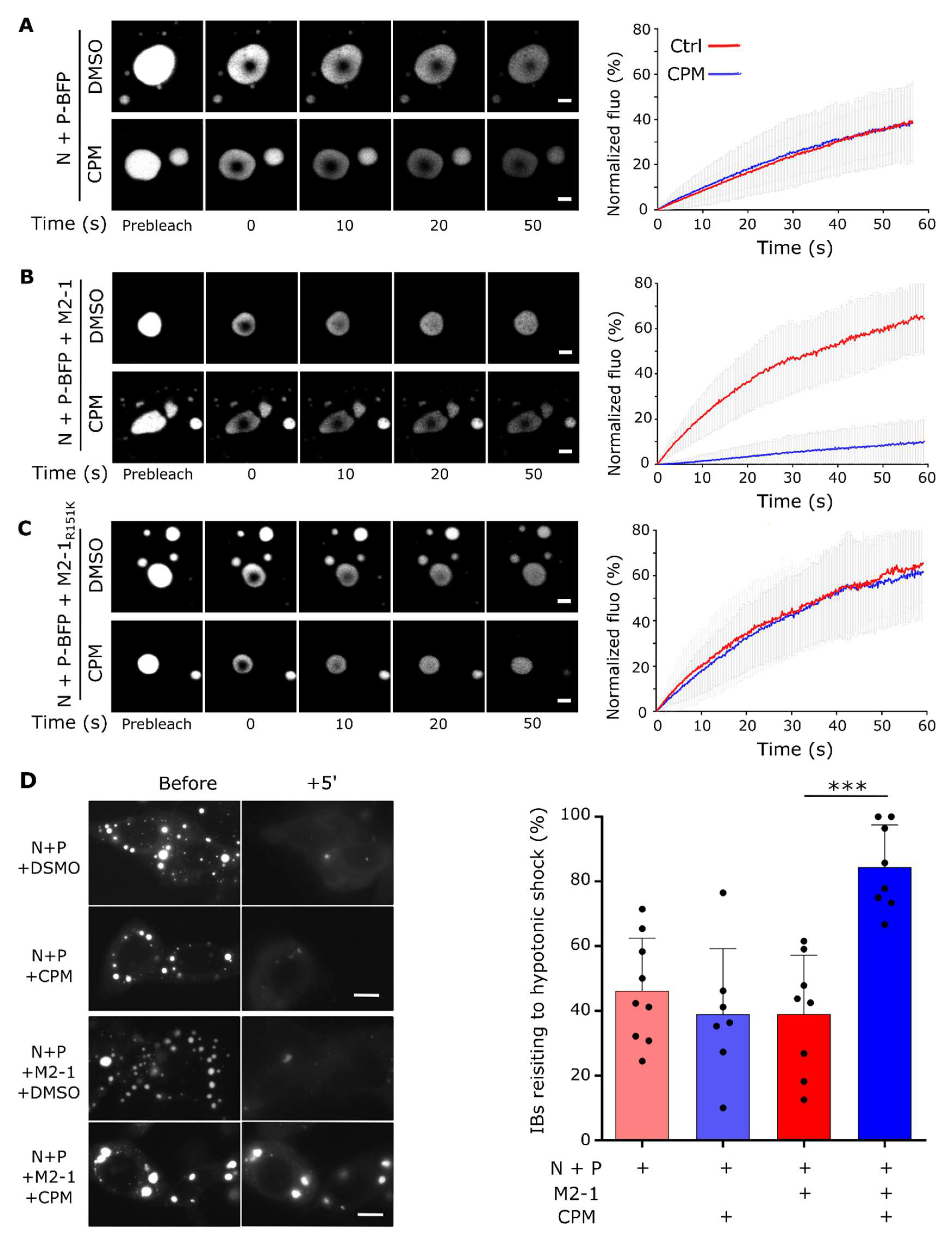 Preprints 77616 g001