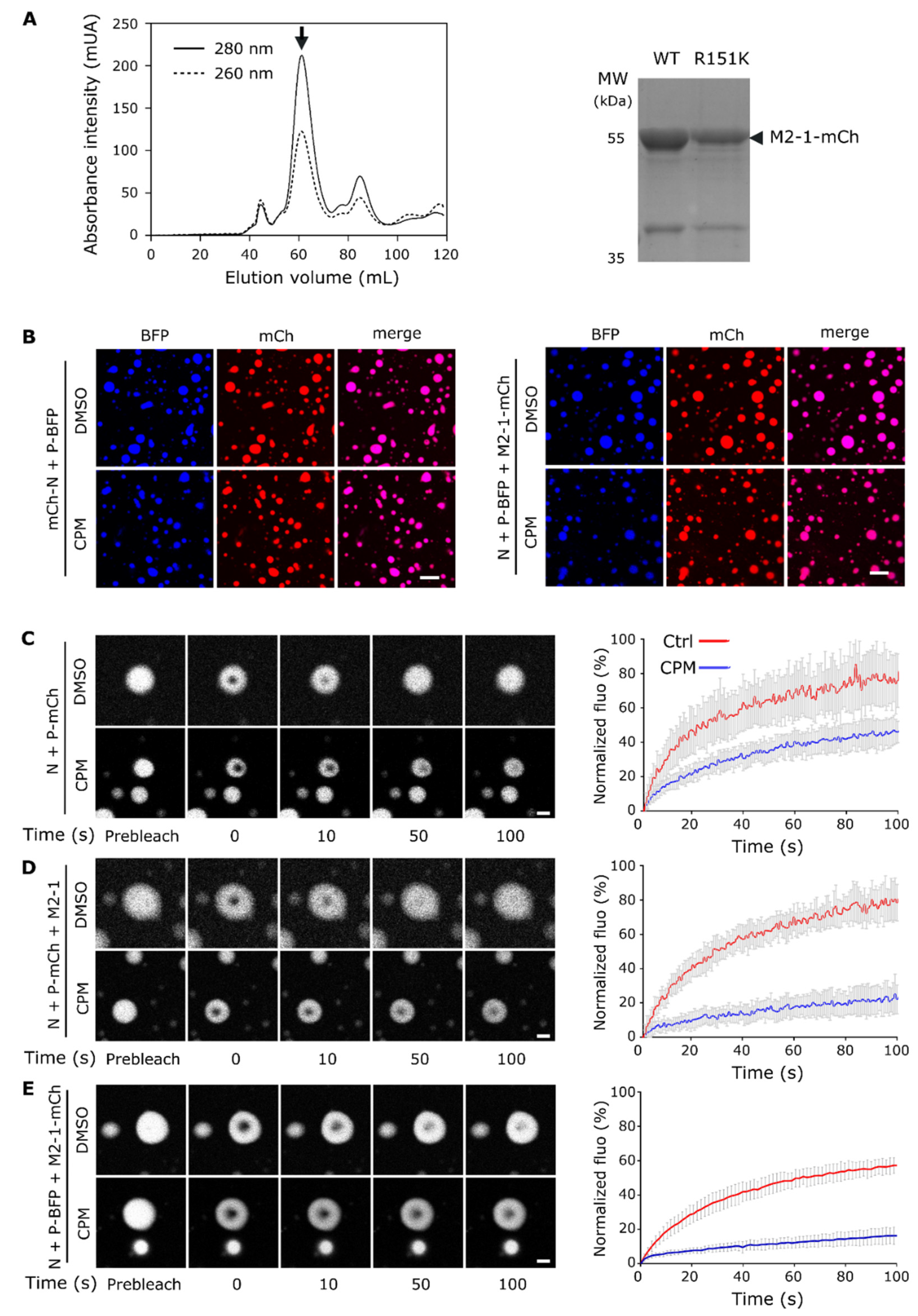 Preprints 77616 g002