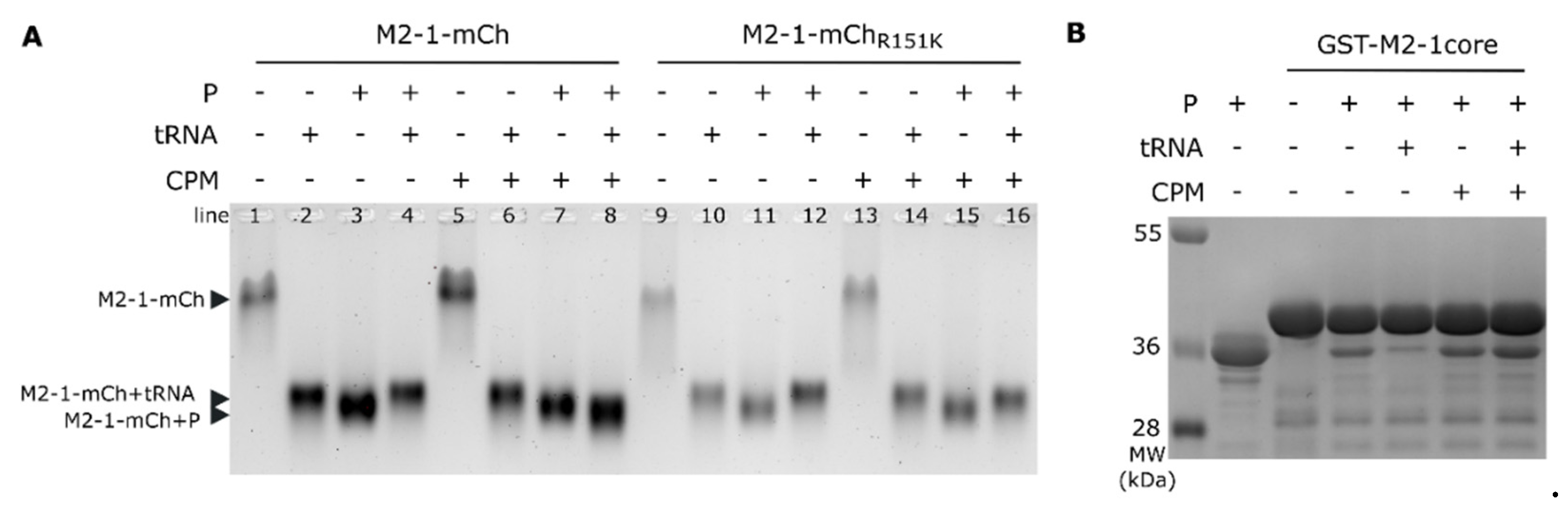 Preprints 77616 g003