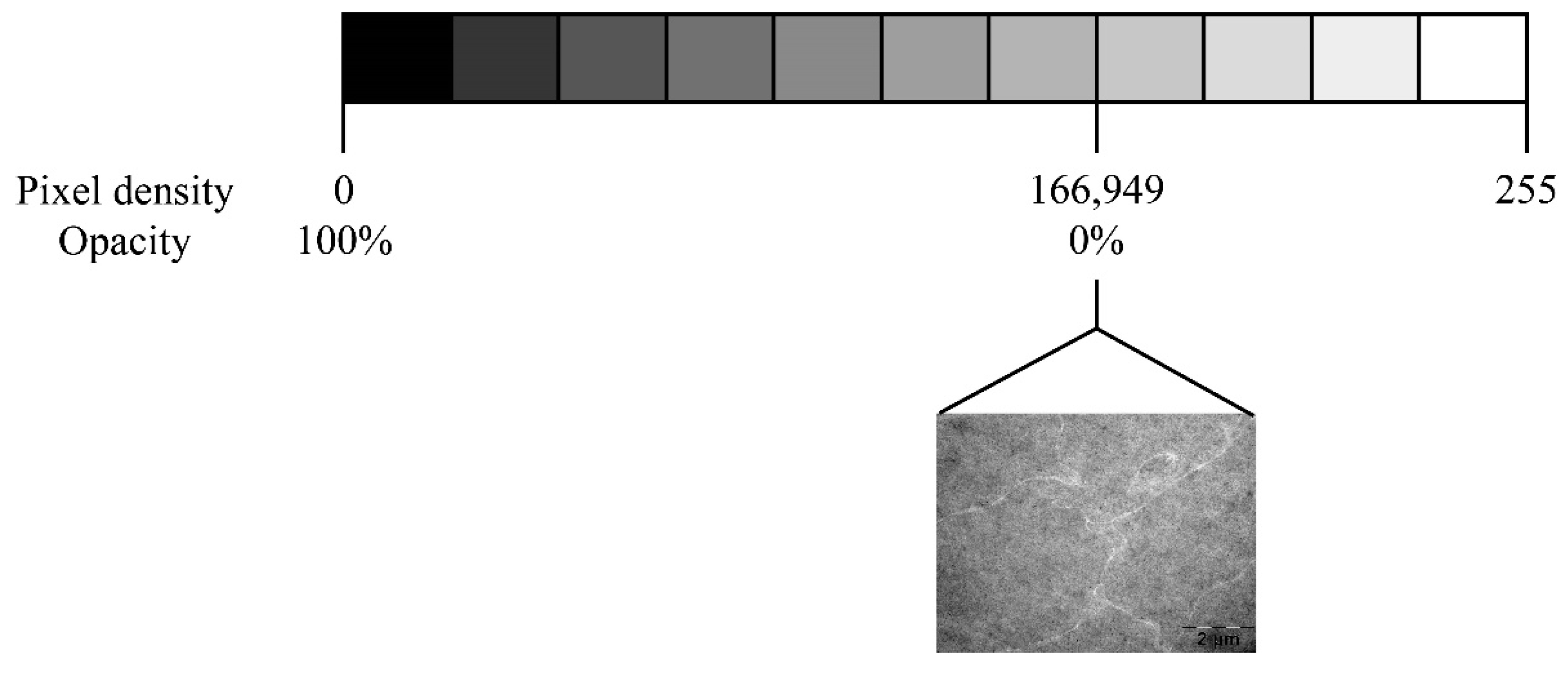 Preprints 81272 g003