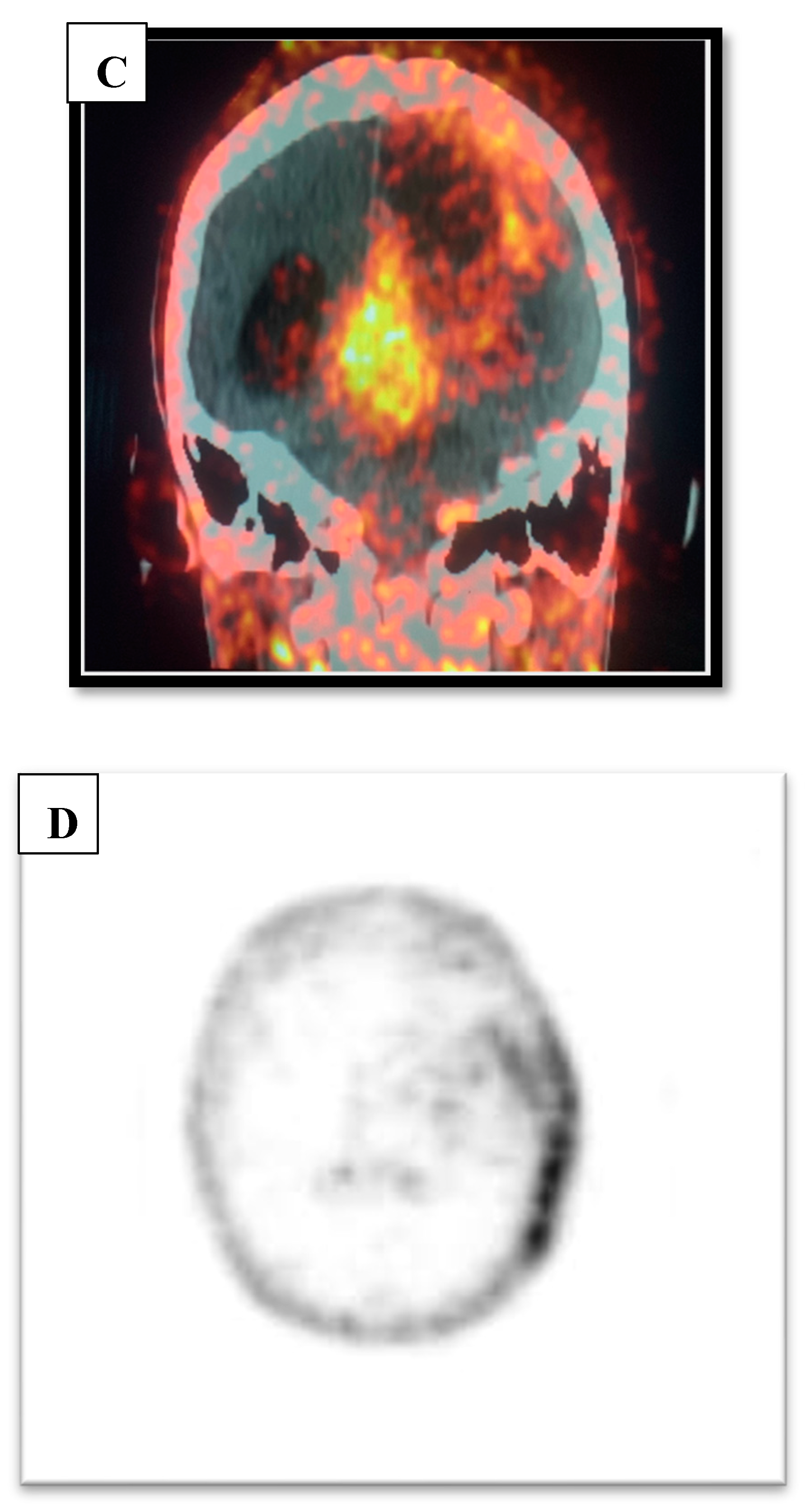 Preprints 109400 g005