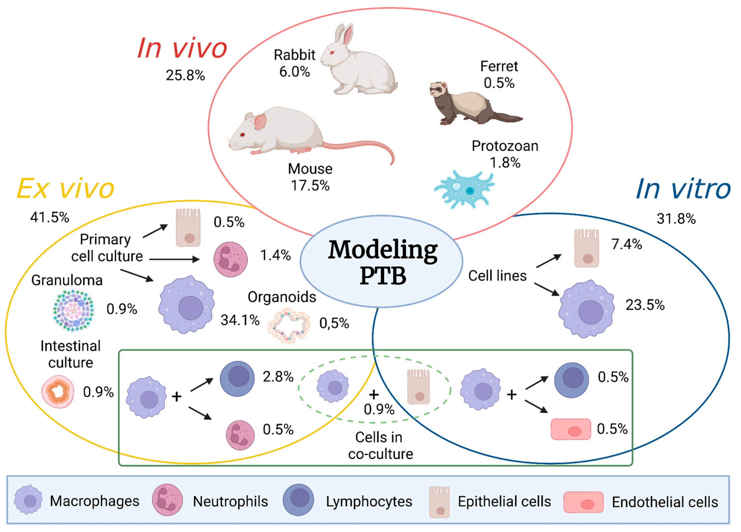 Preprints 82404 g001