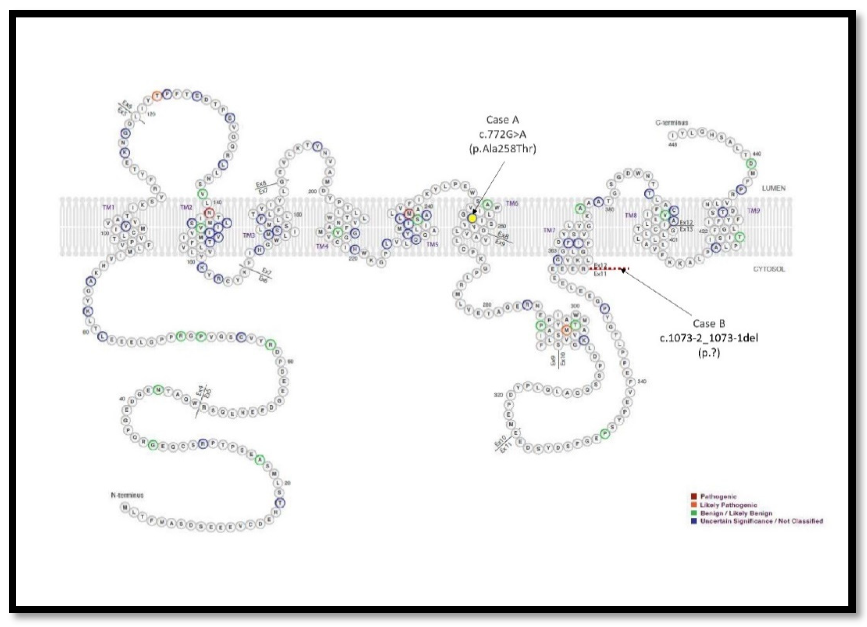 Preprints 113559 g002