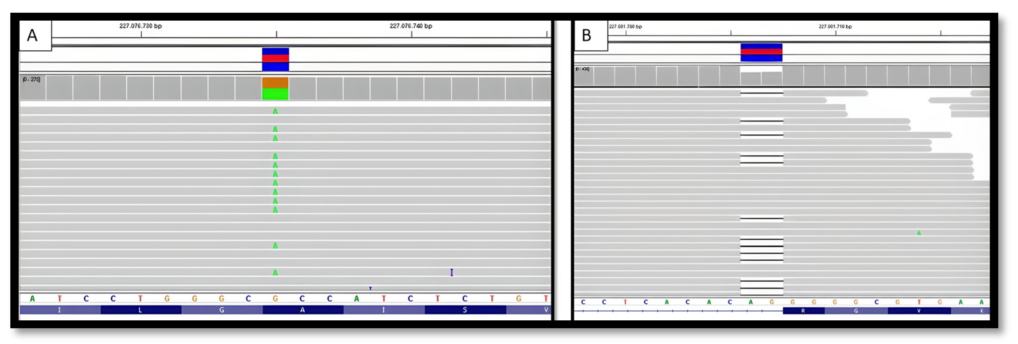 Preprints 113559 g003