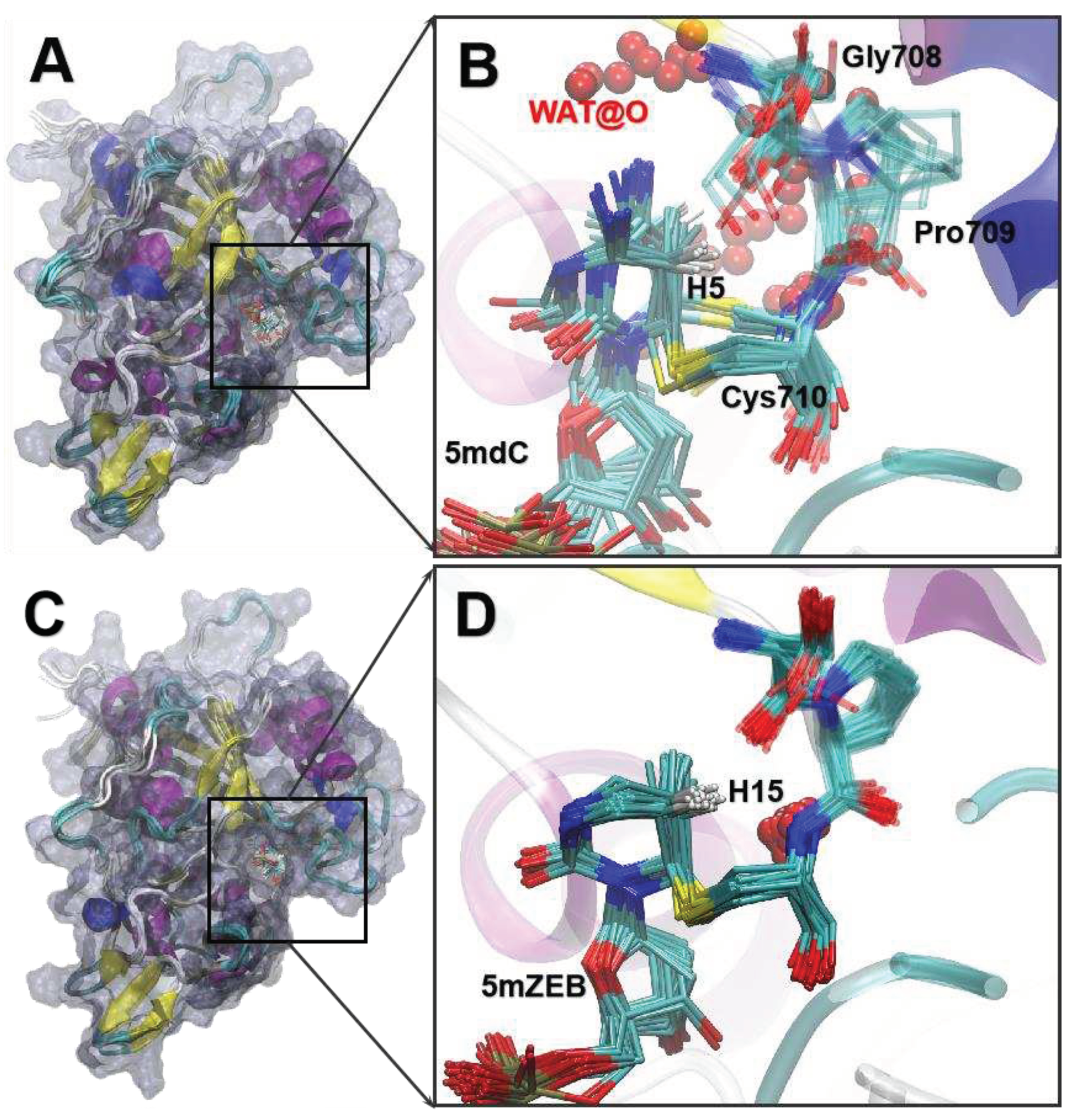 Preprints 78840 g006