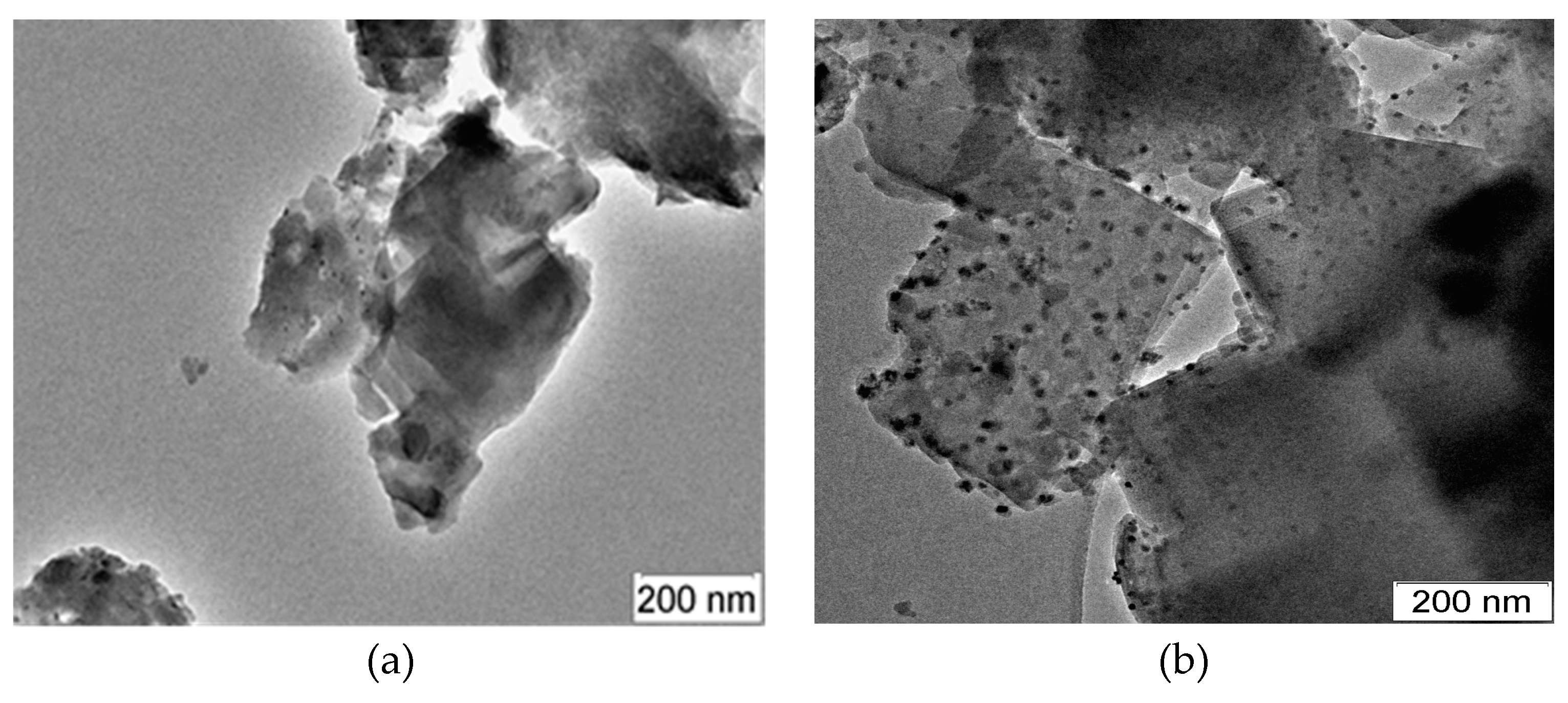 Preprints 71518 g008