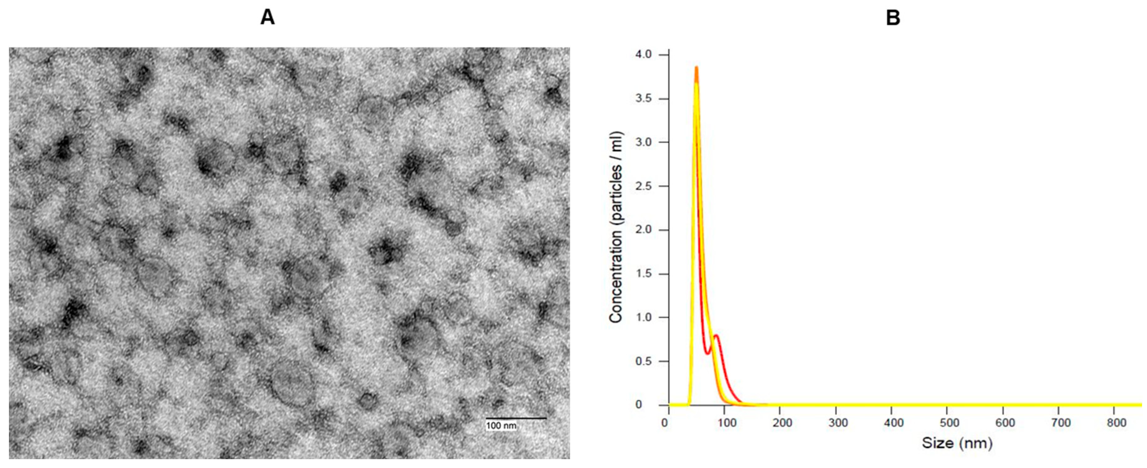 Preprints 98385 g001