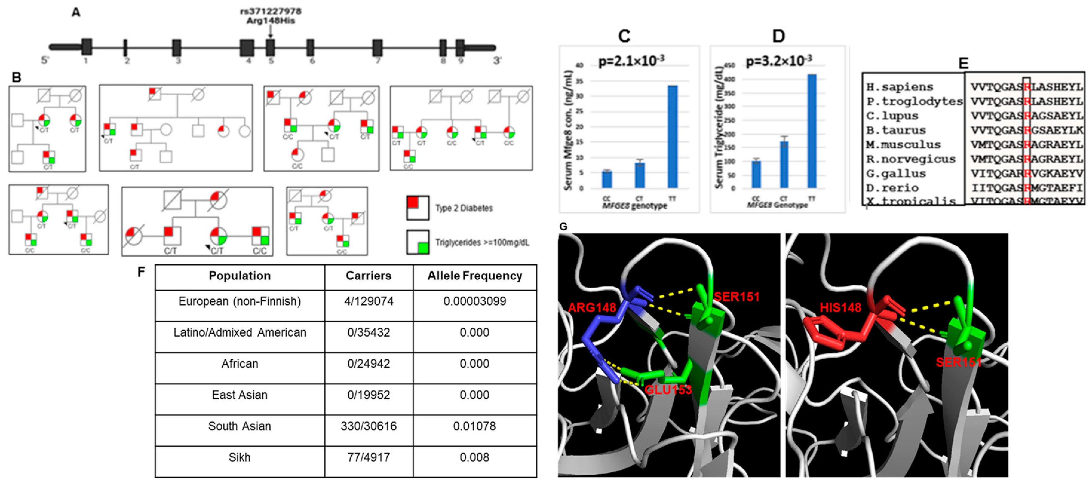 Preprints 98385 g002