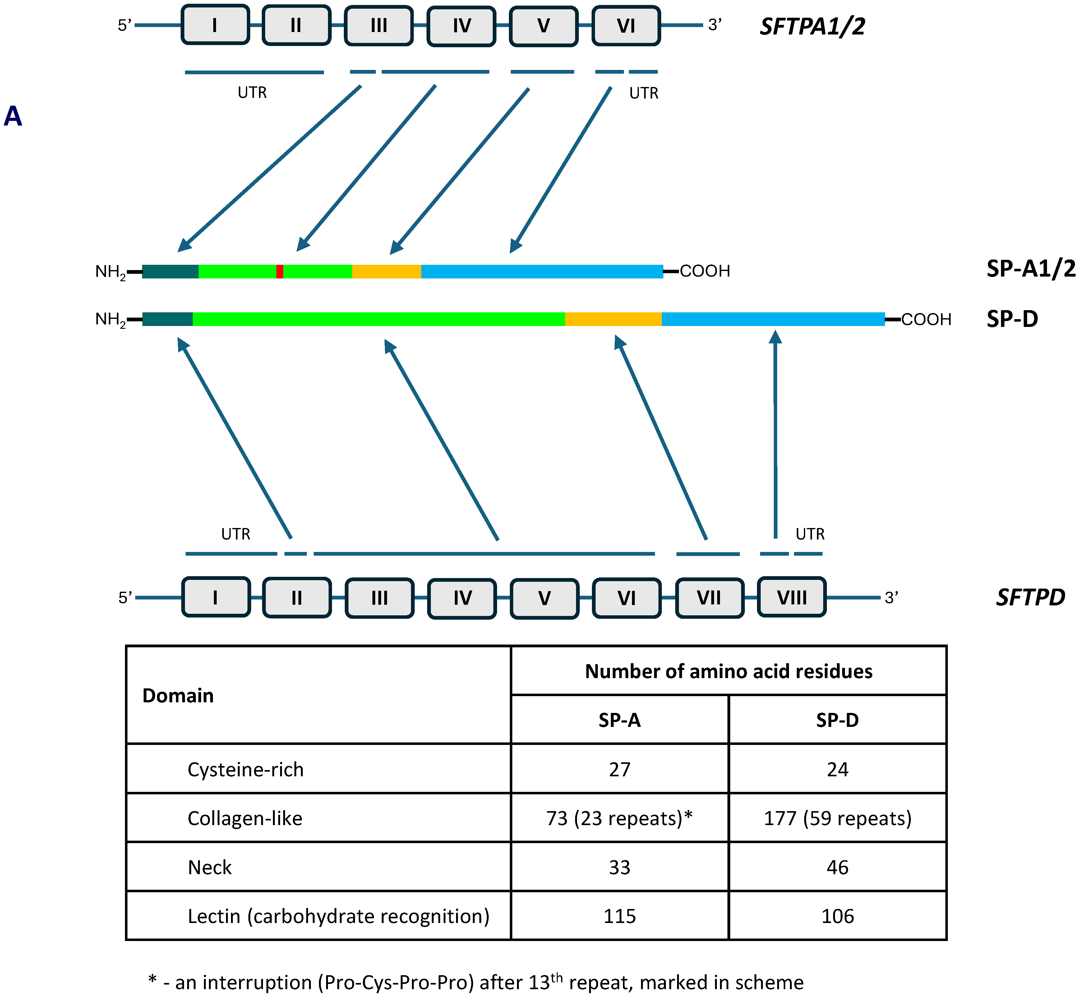 Preprints 113383 g001a