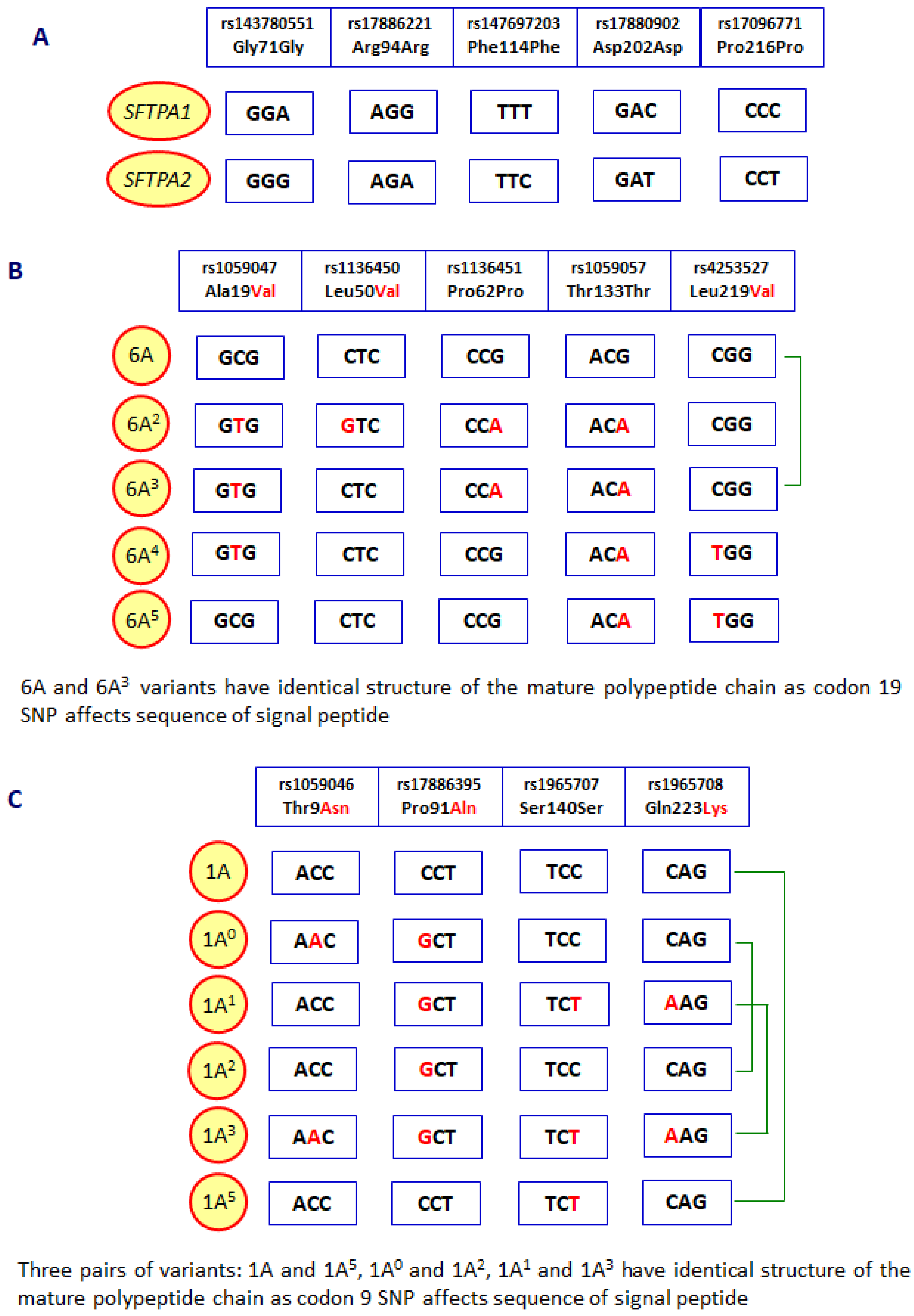 Preprints 113383 g002