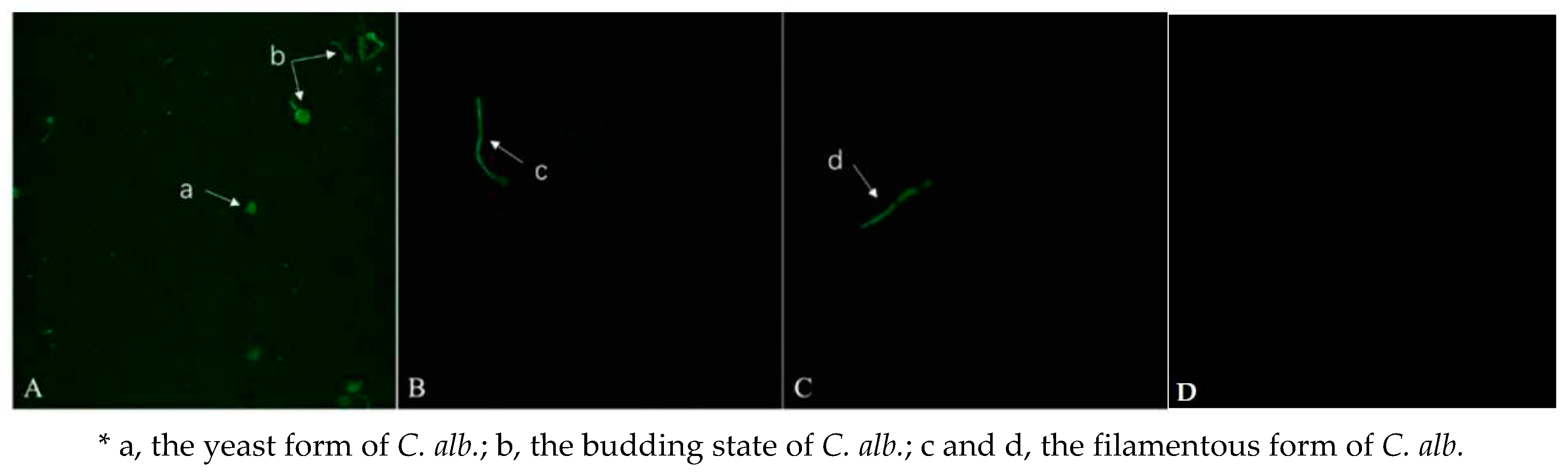 Preprints 82289 g007