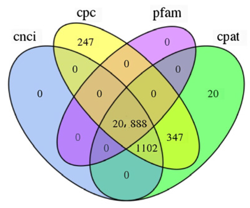 Preprints 91807 g003