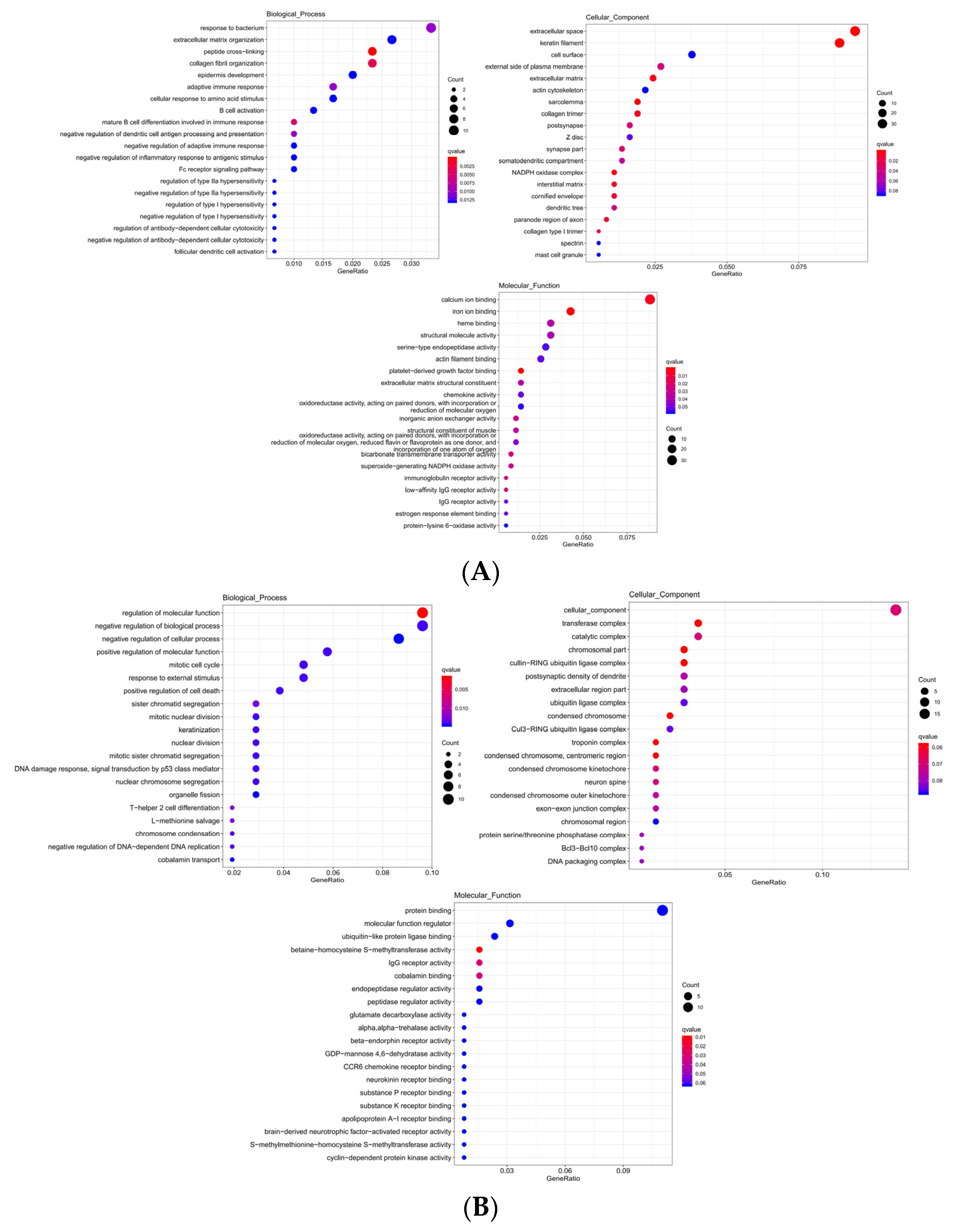 Preprints 91807 g006a