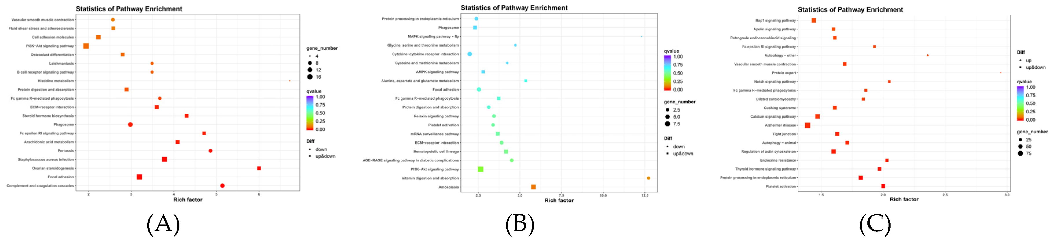 Preprints 91807 g007