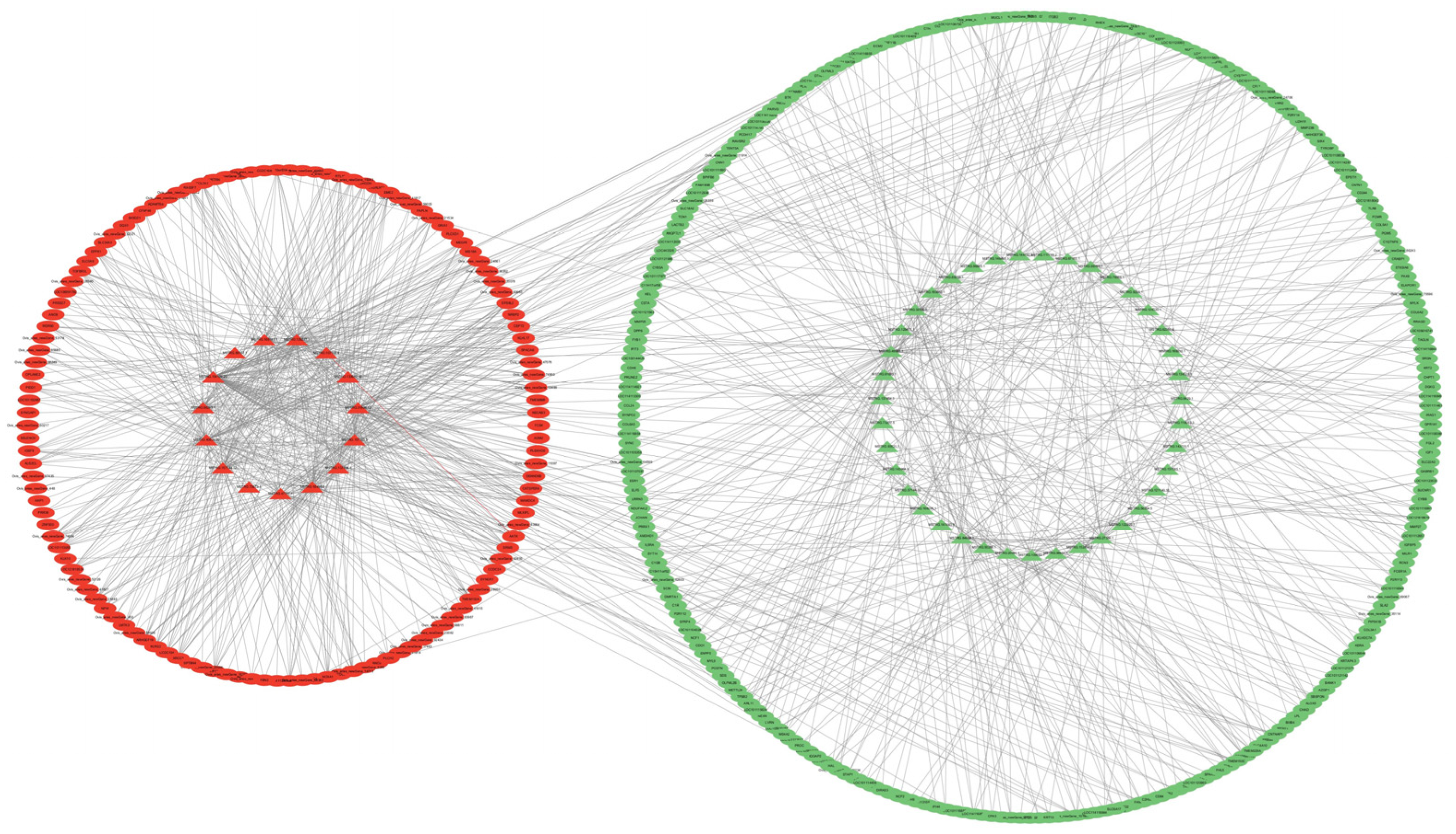 Preprints 91807 g009