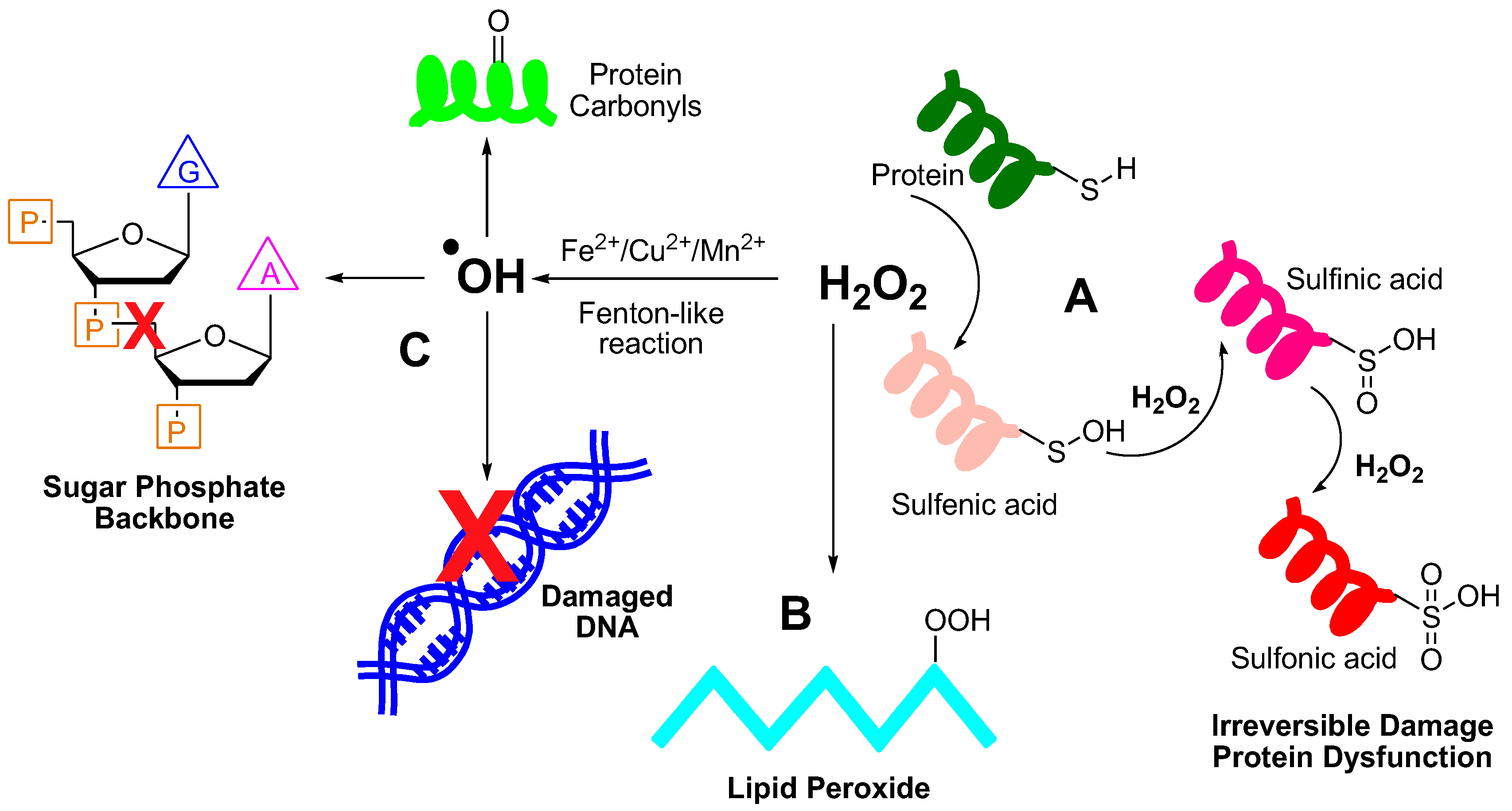 Preprints 105501 g003