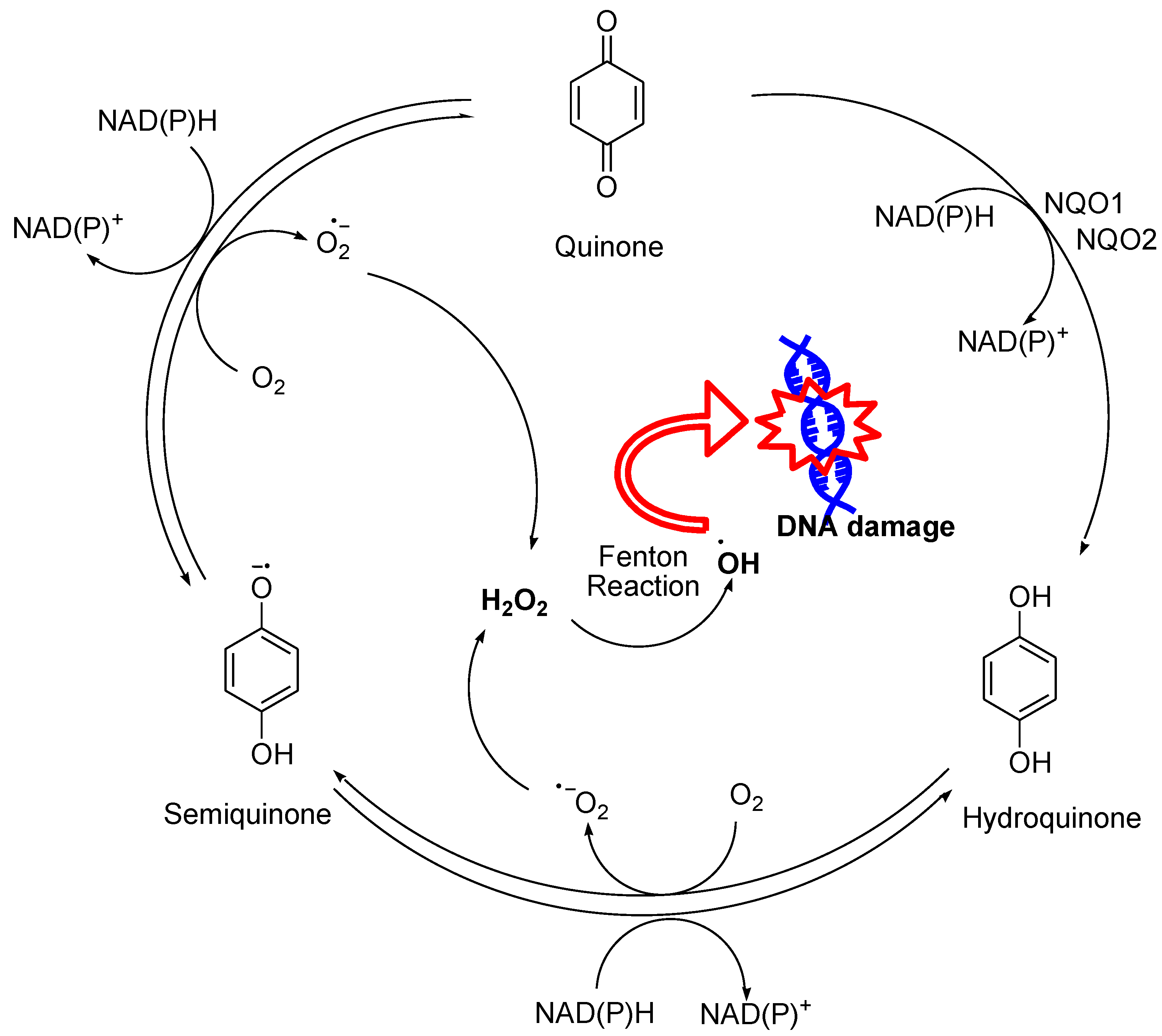 Preprints 105501 g011