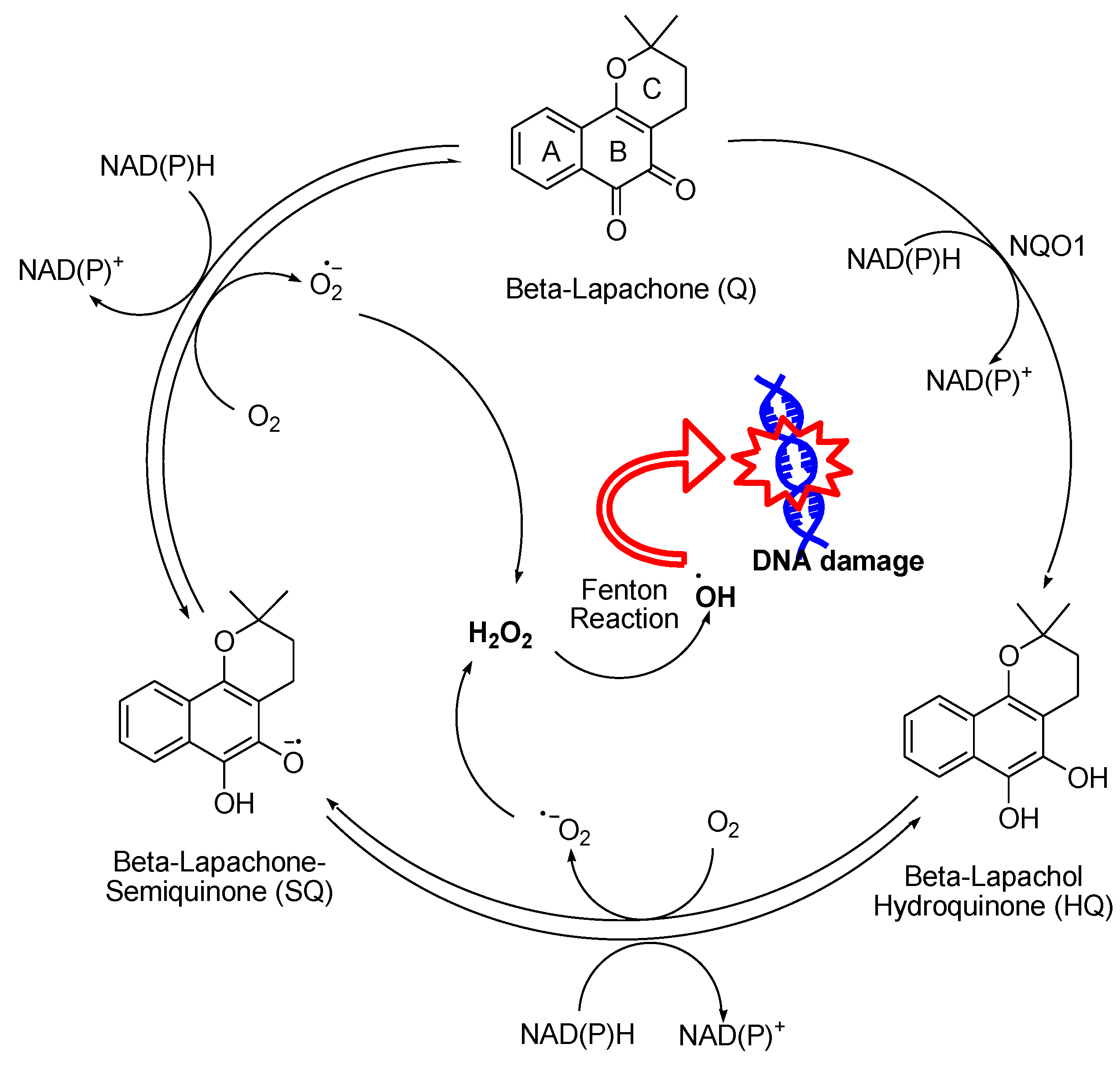 Preprints 105501 g014